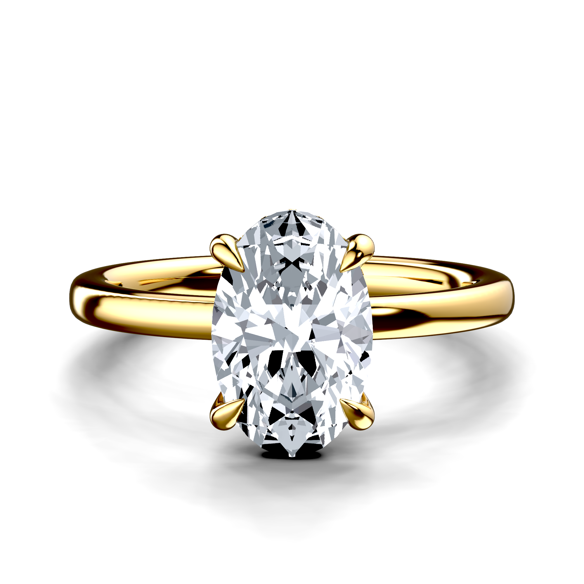 Image for The Alina
