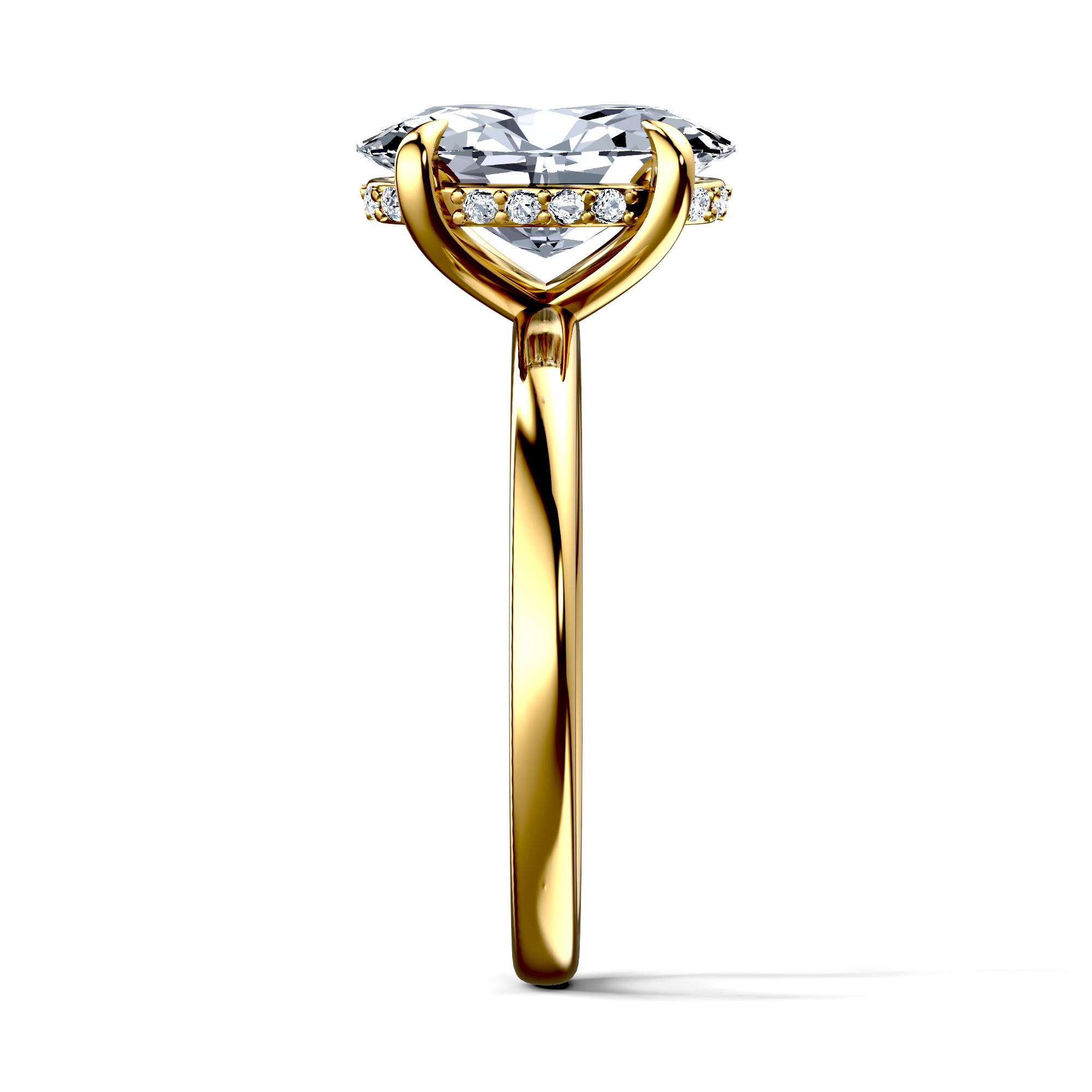 Image for The Alina