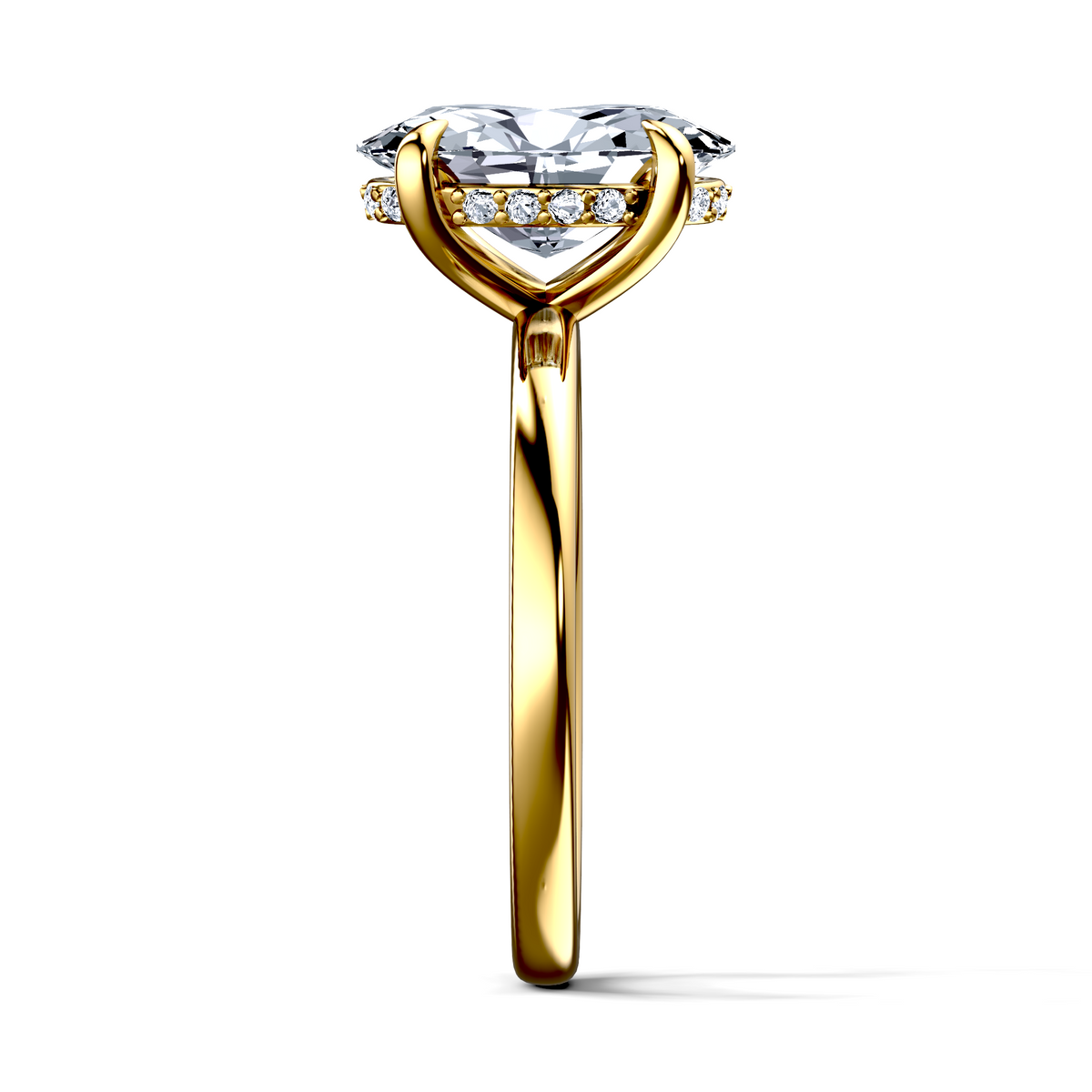 Image for The Alina