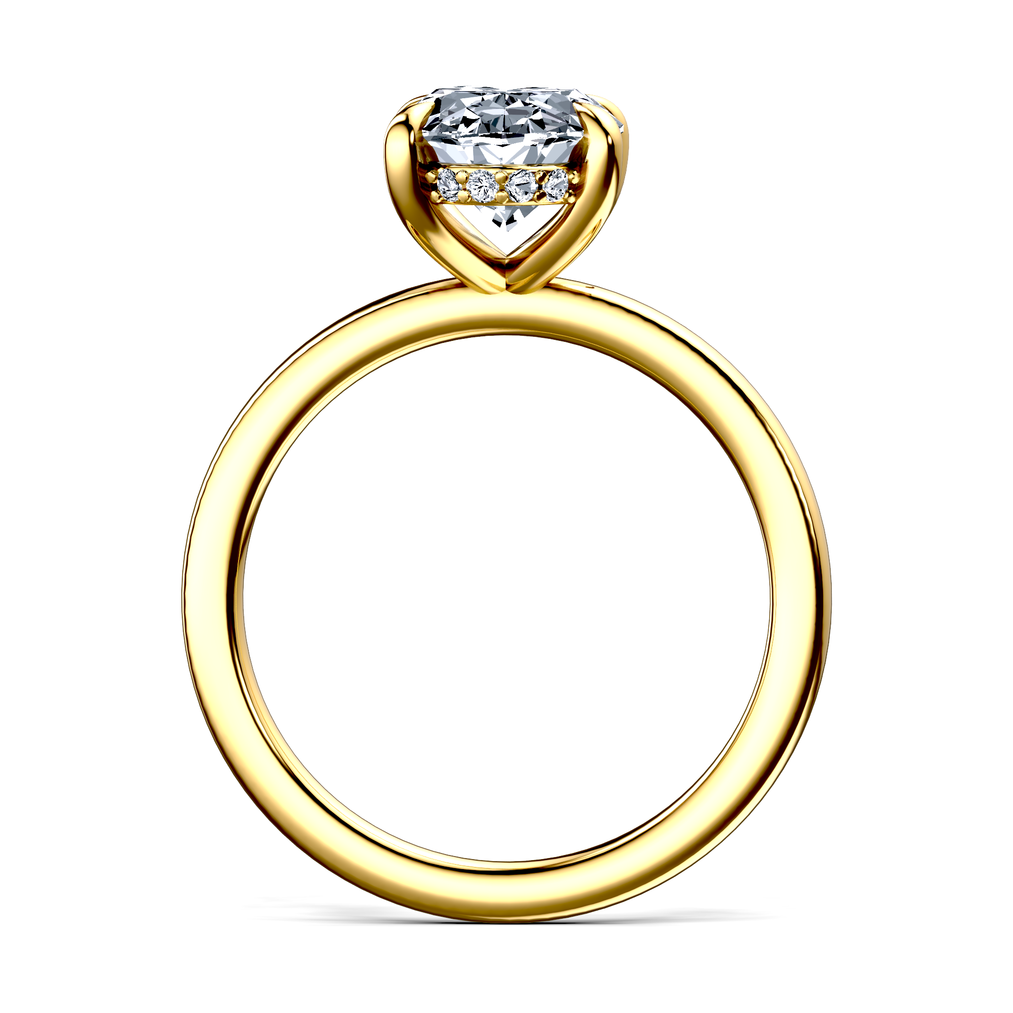 Image for The Alina