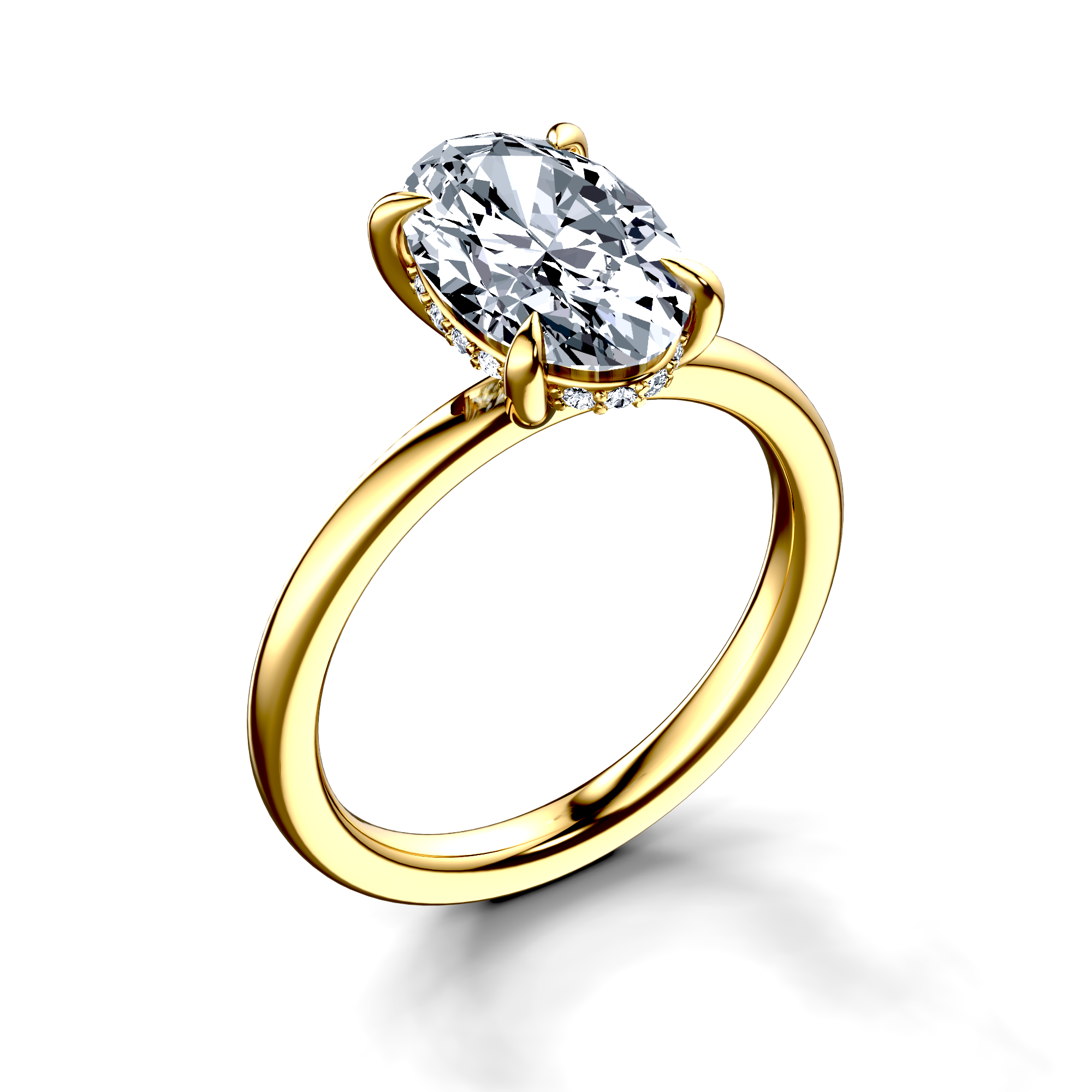 Image for The Alina