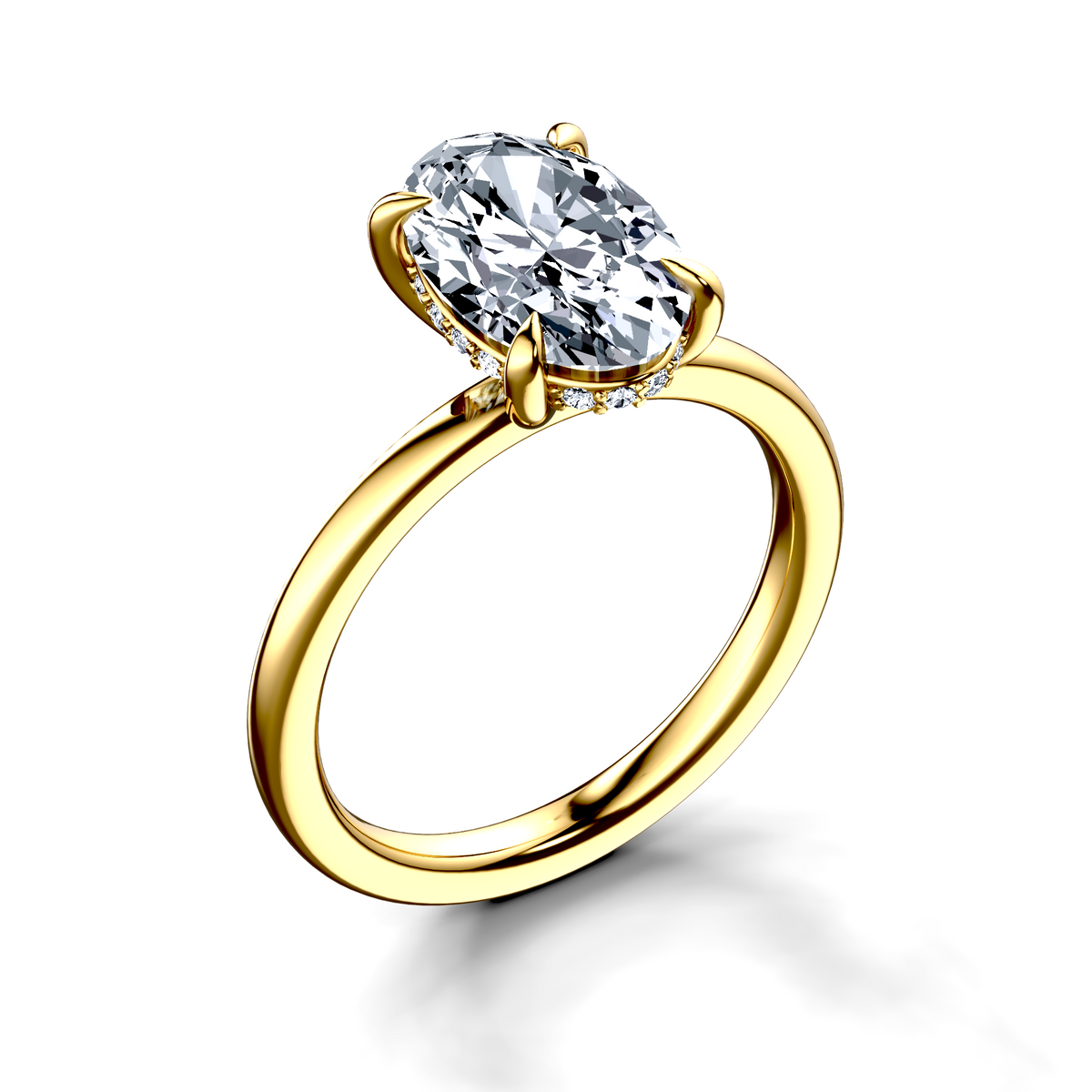 Image for The Alina
