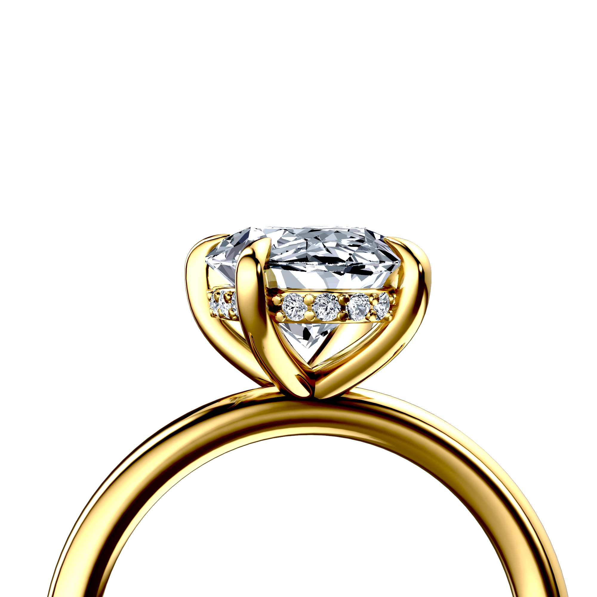Image for The Alina