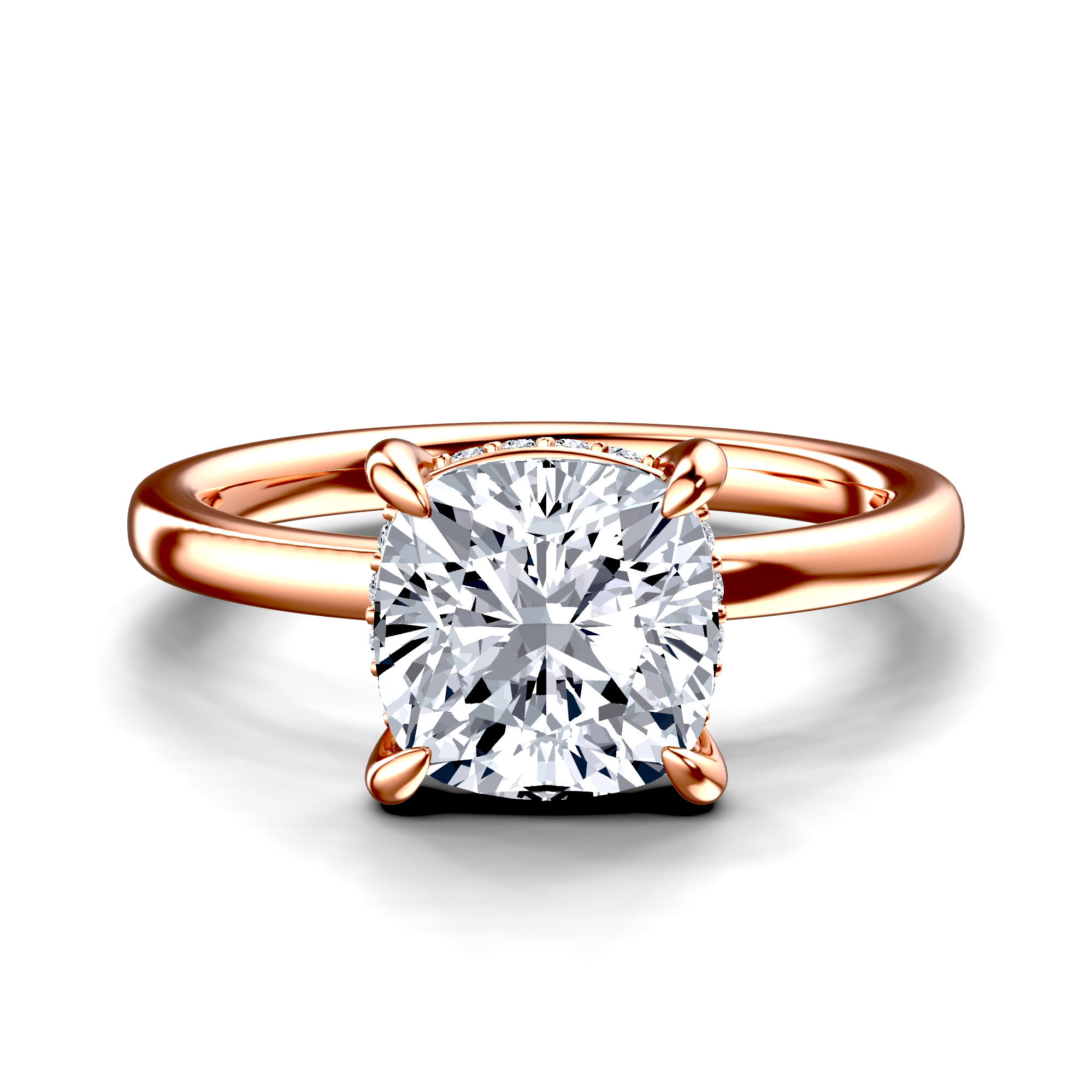 Image for The Alina