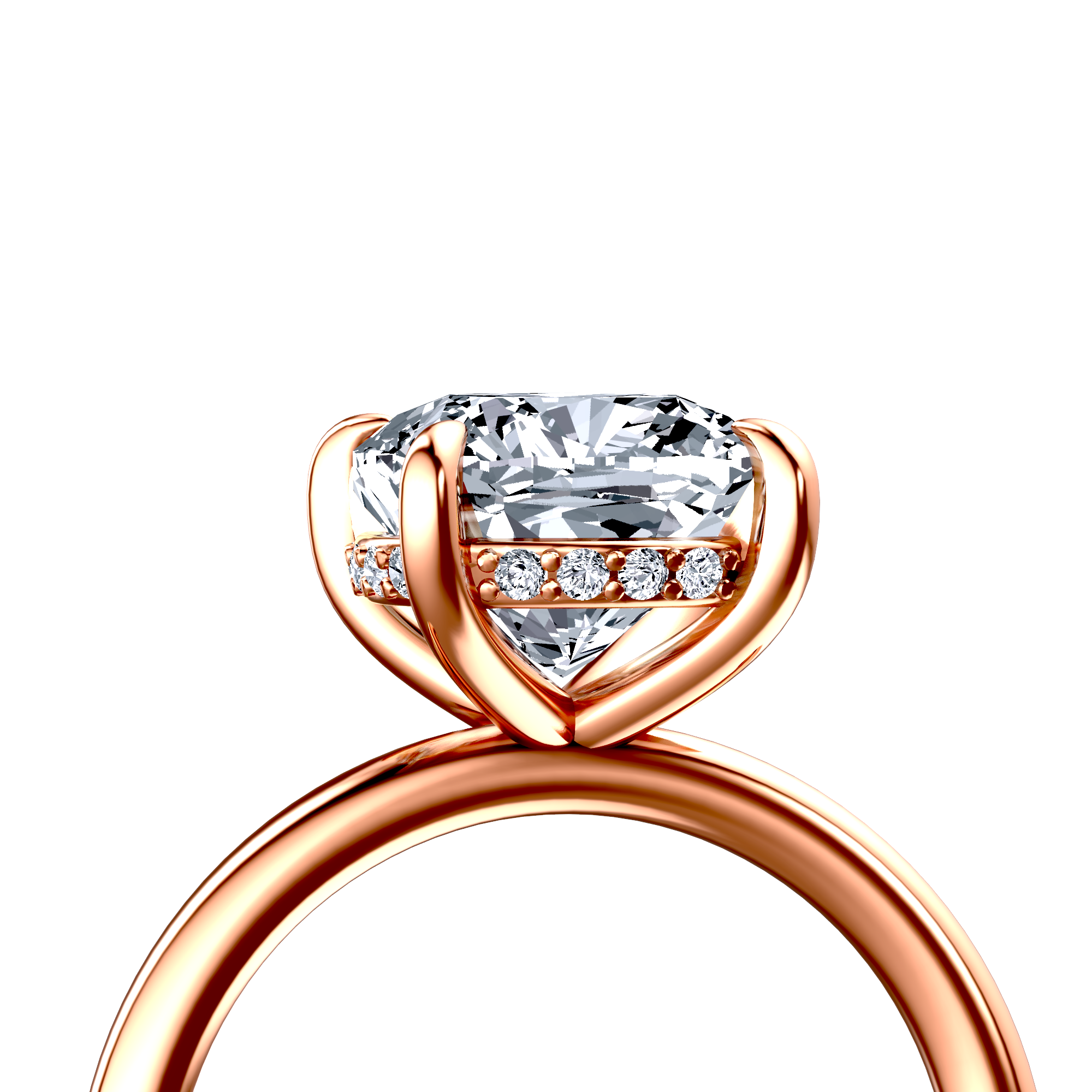 Image for The Alina