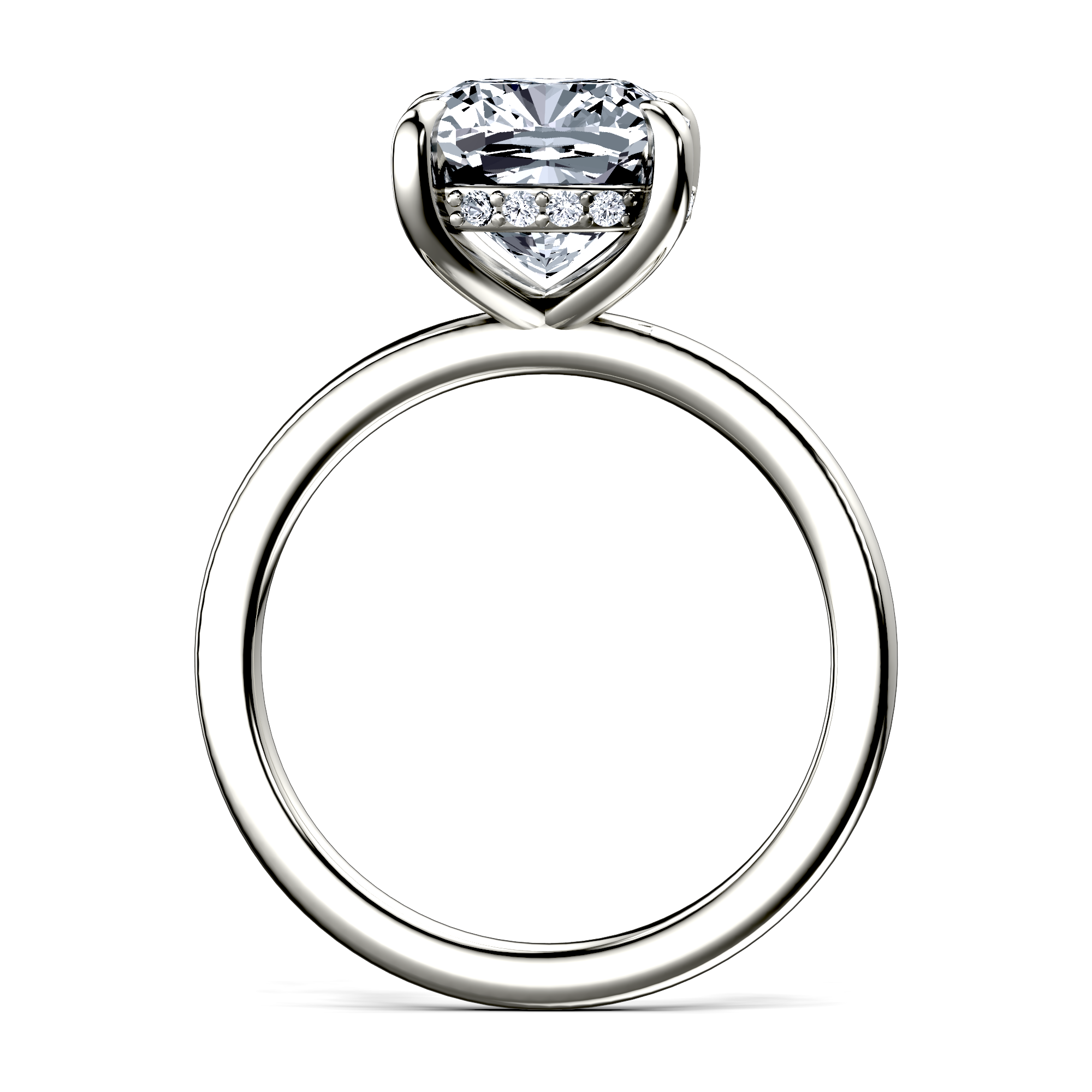 Image for The Alina