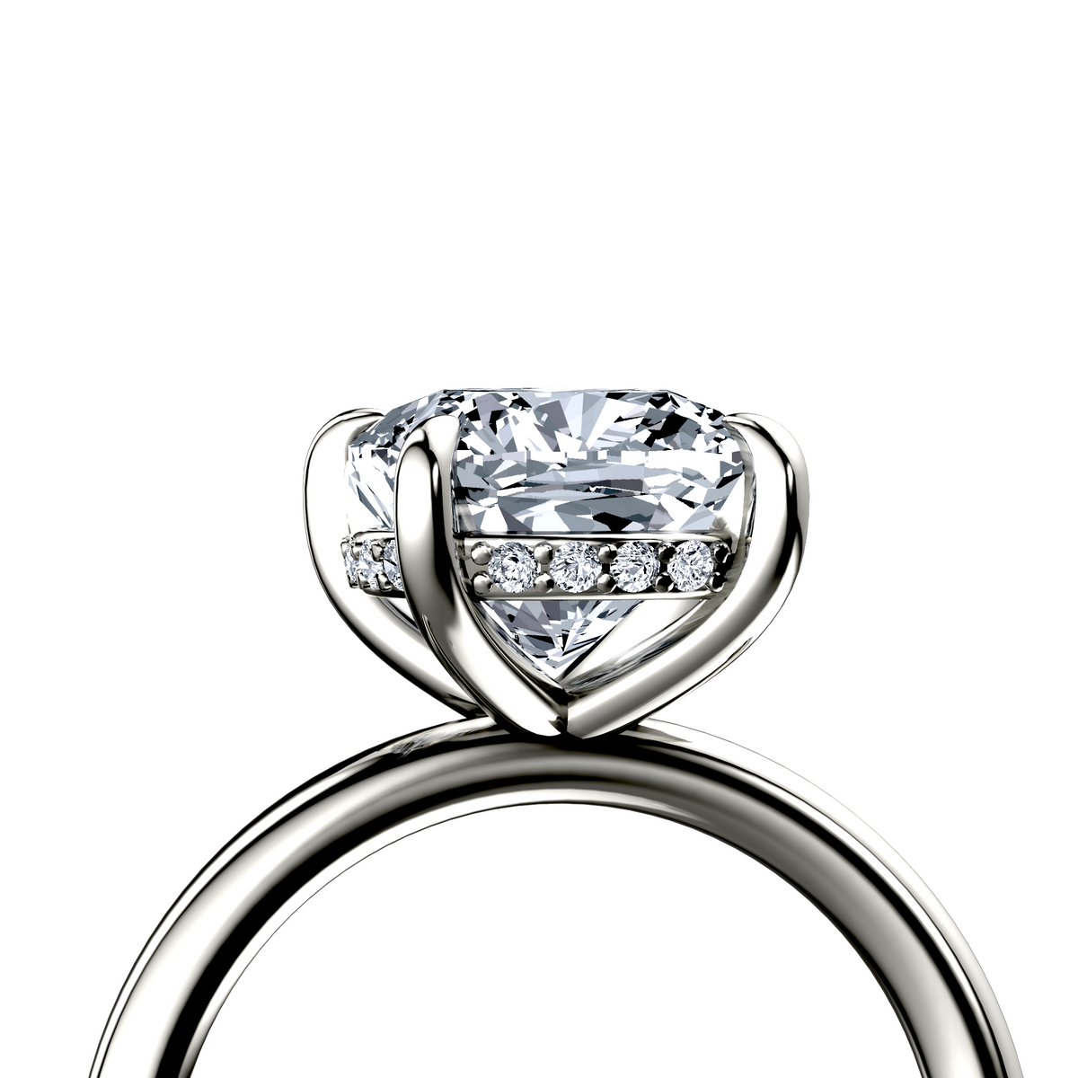 Image for The Alina