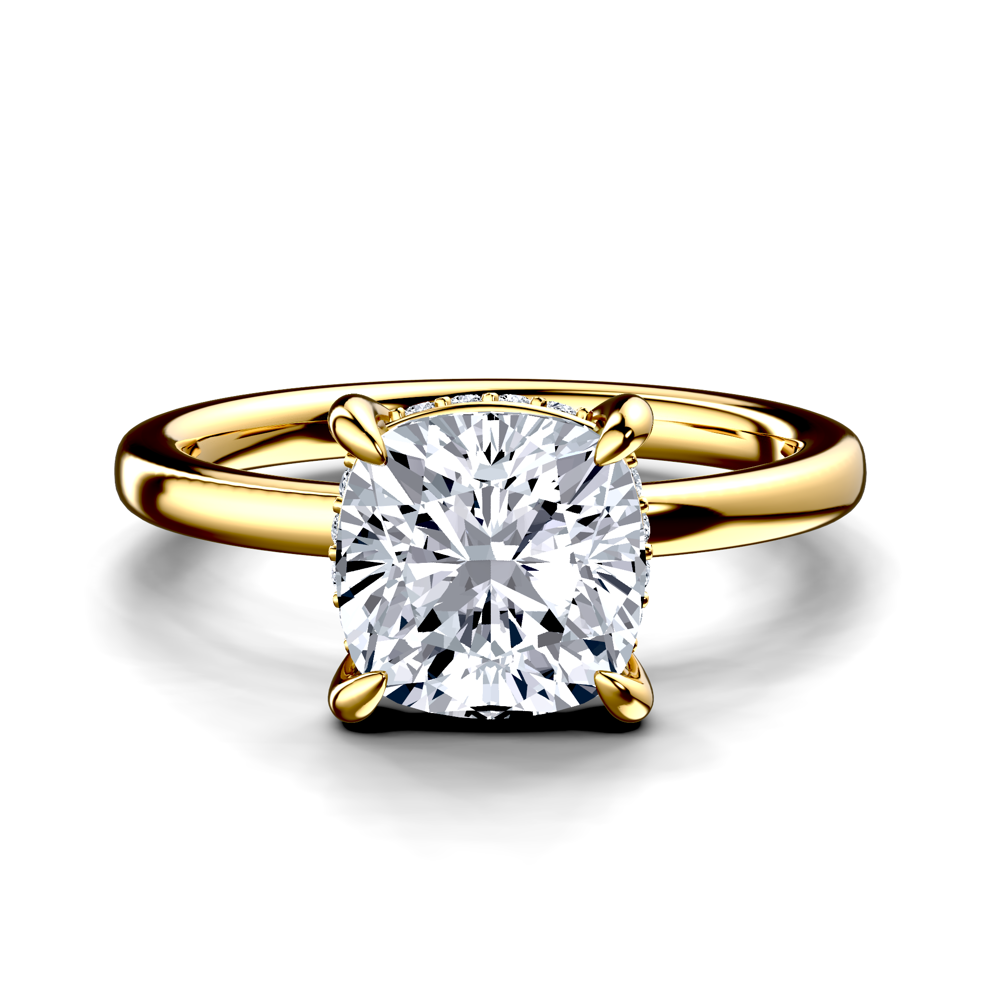 Image for The Alina