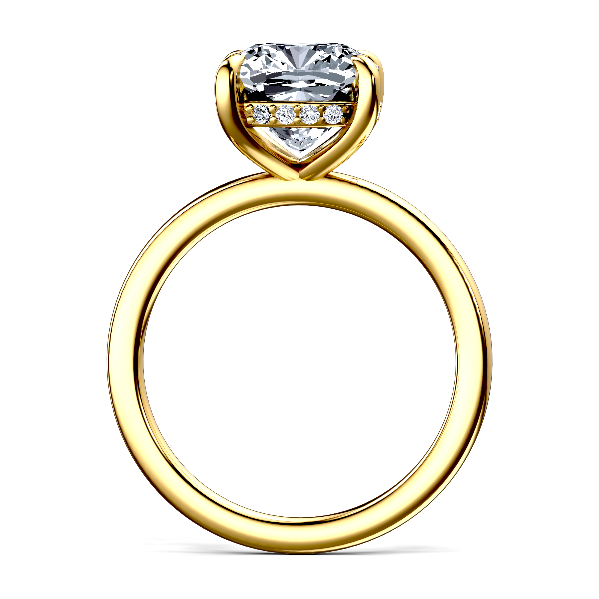 Image for The Alina