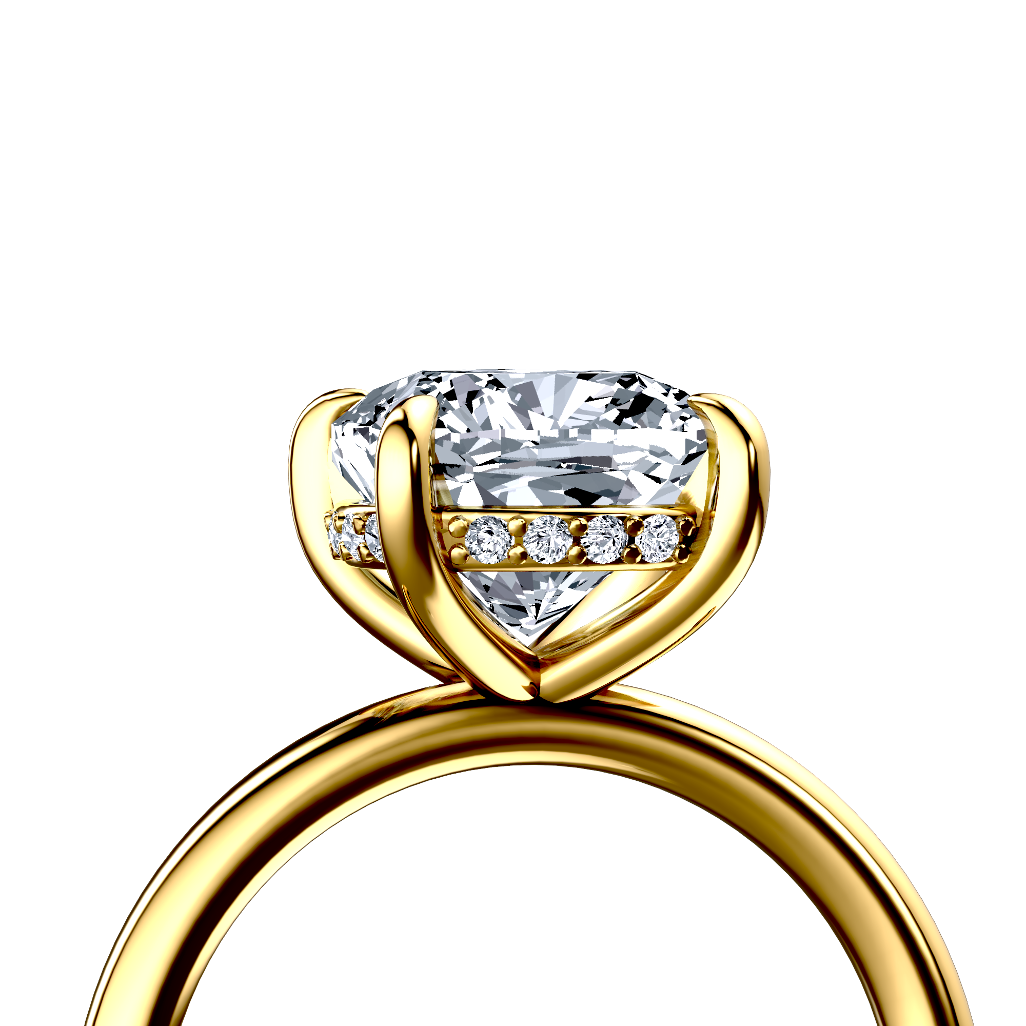 Image for The Alina