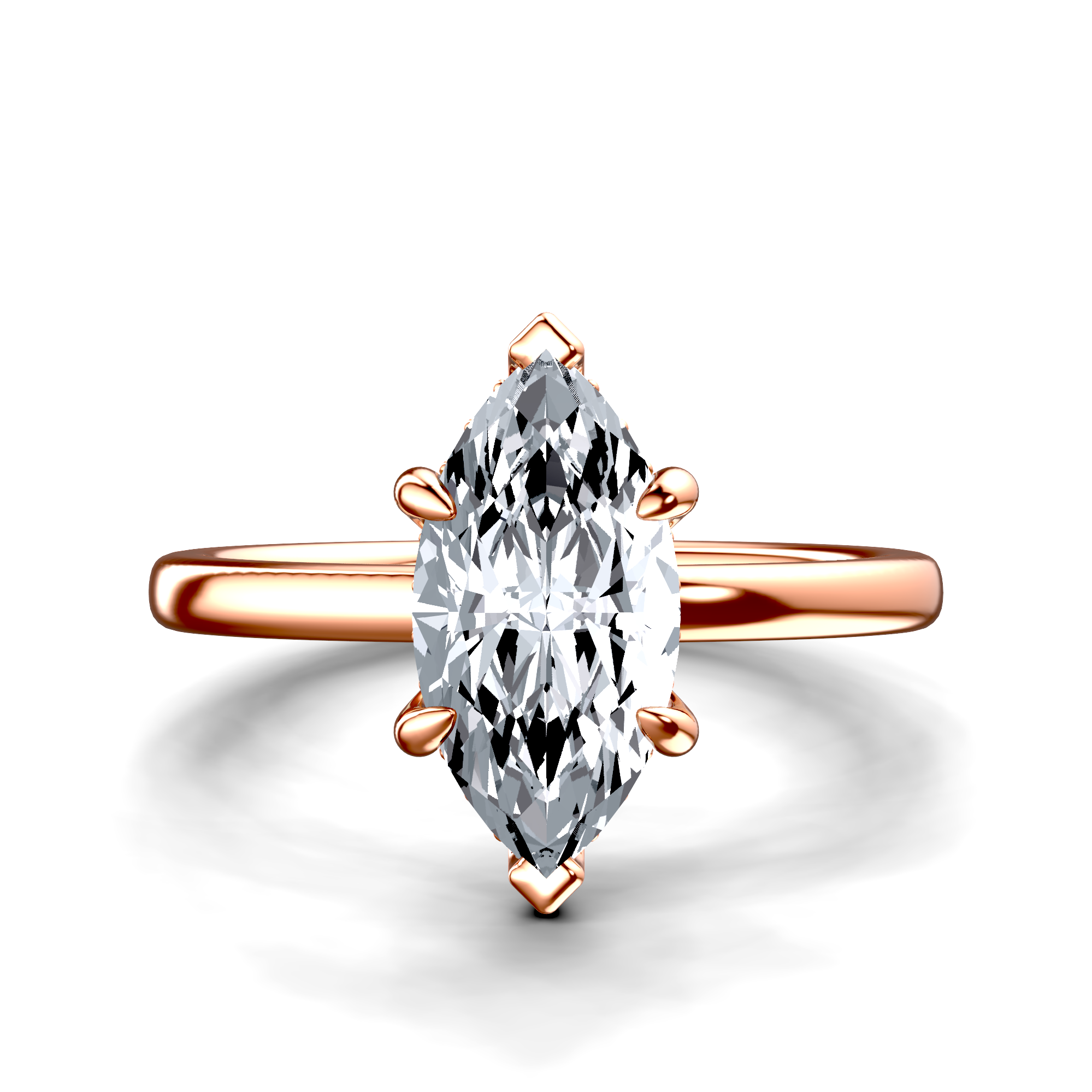 Image for The Alina