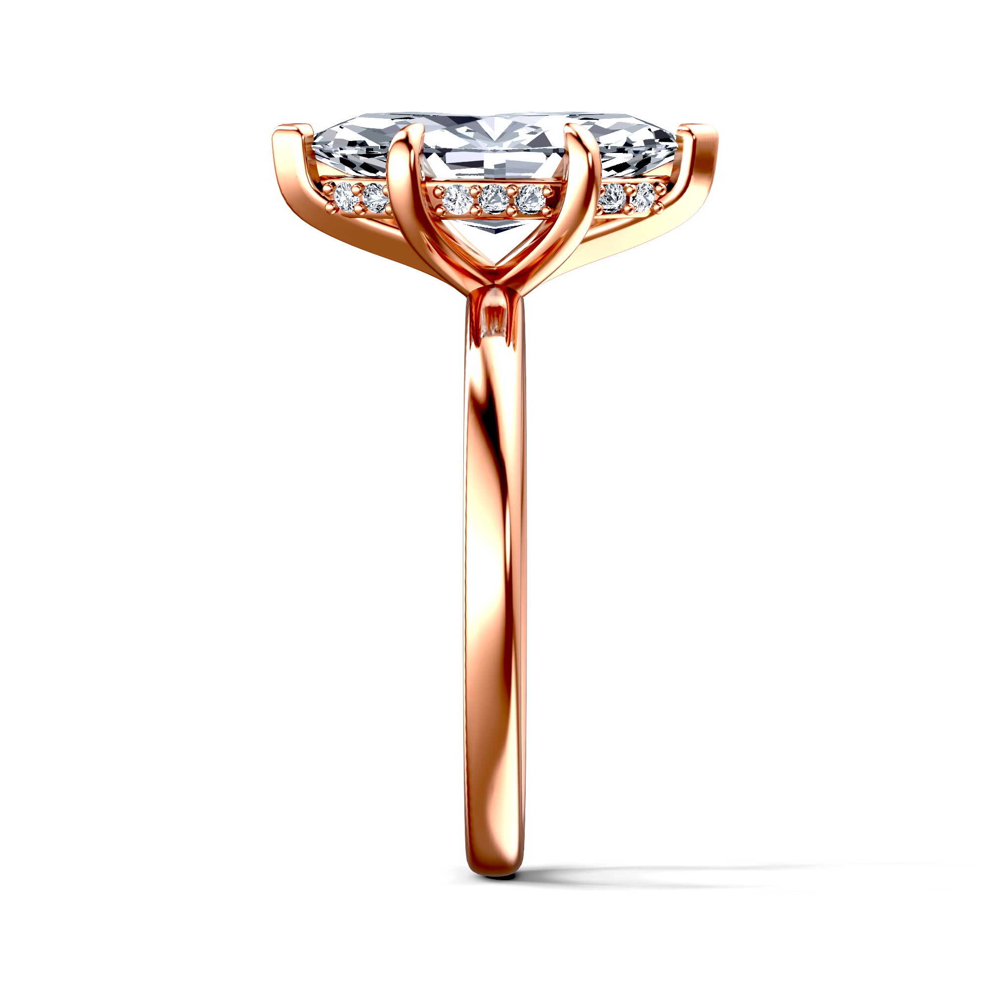 Image for The Alina