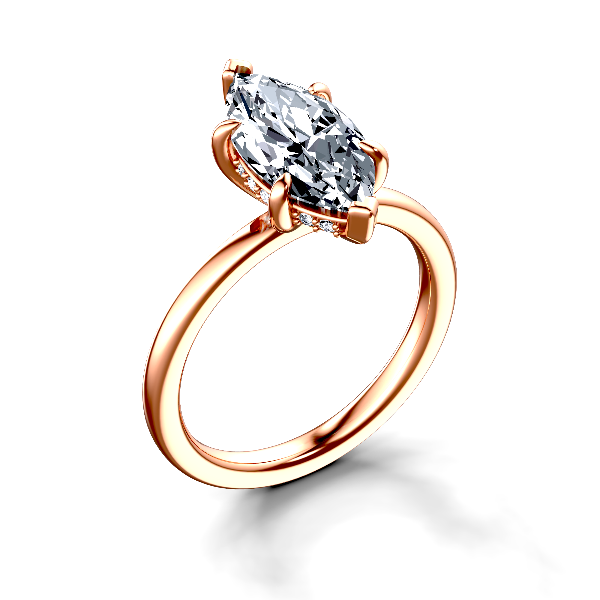 Image for The Alina
