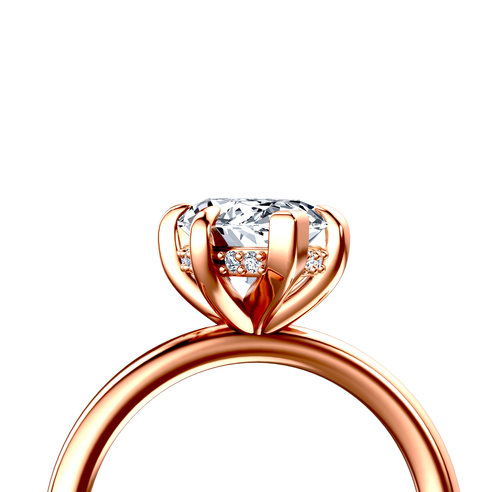 Image for The Alina
