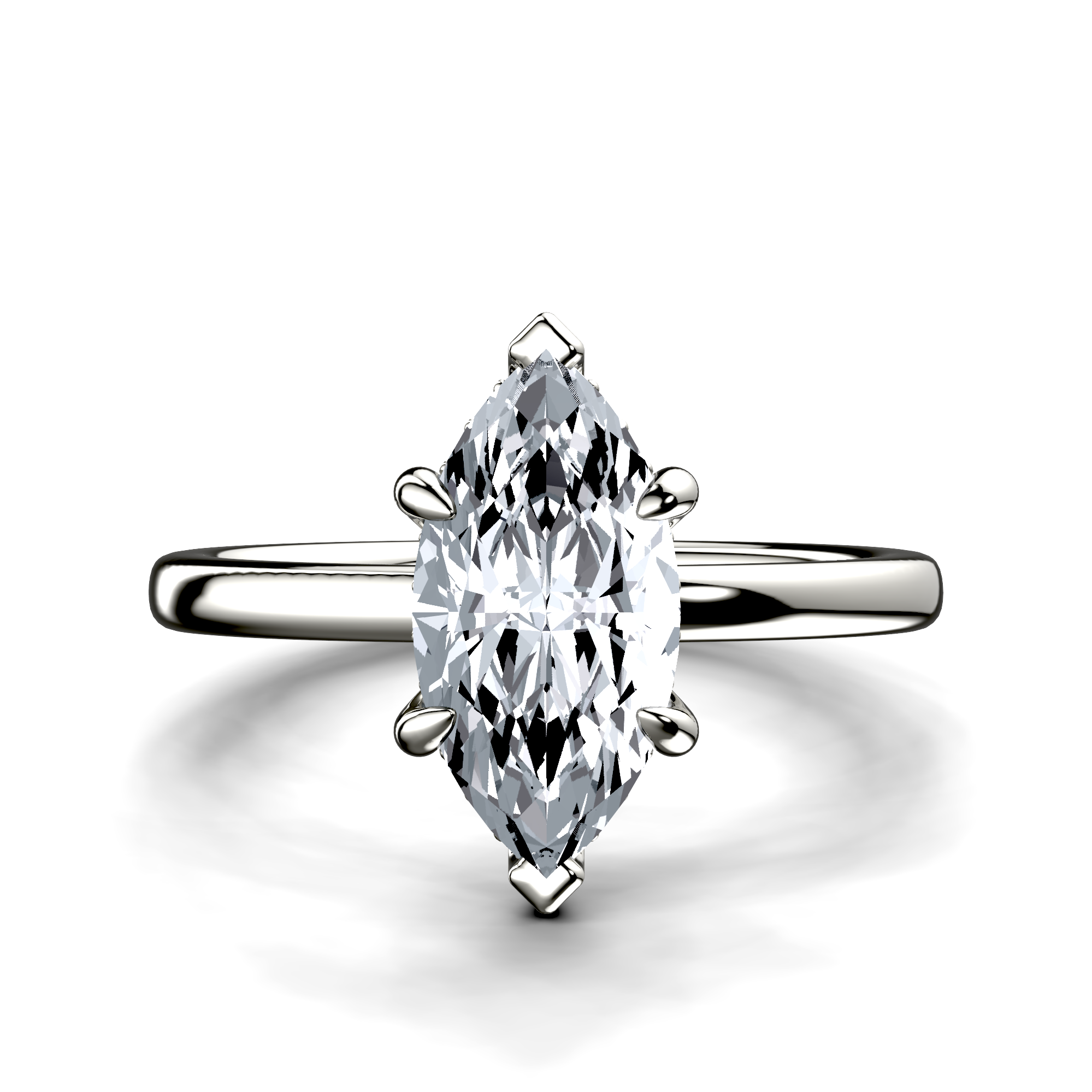 Image for The Alina