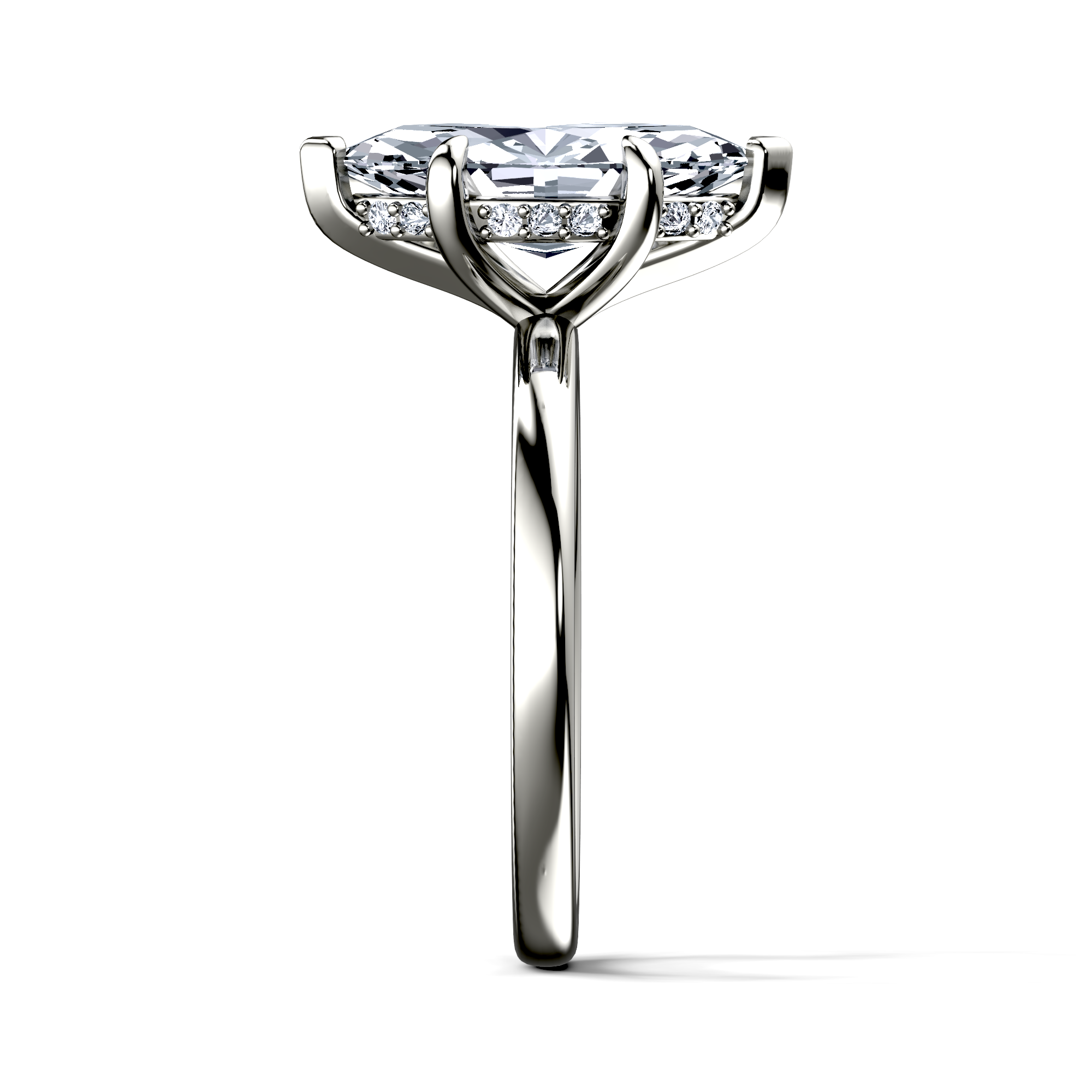 Image for The Alina