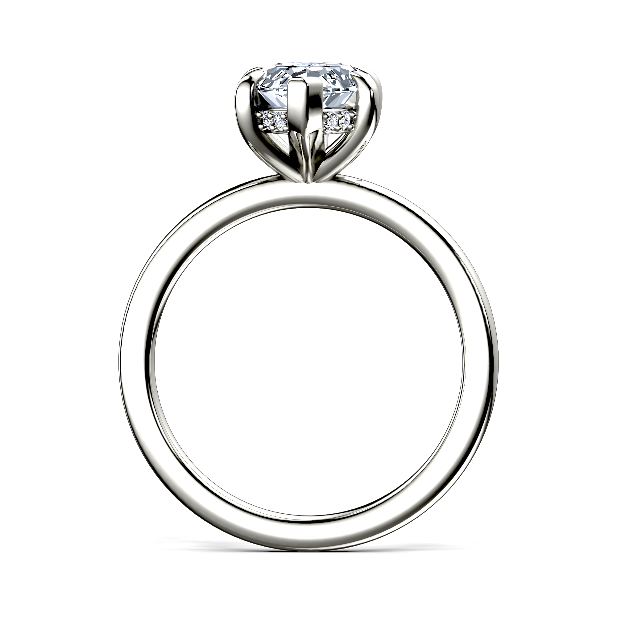 Image for The Alina
