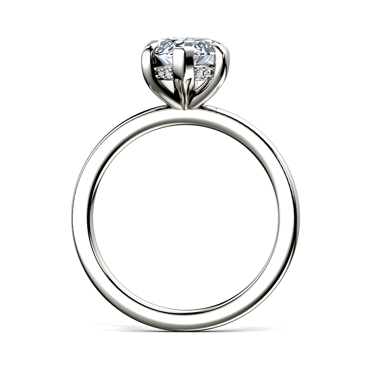 Image for The Alina