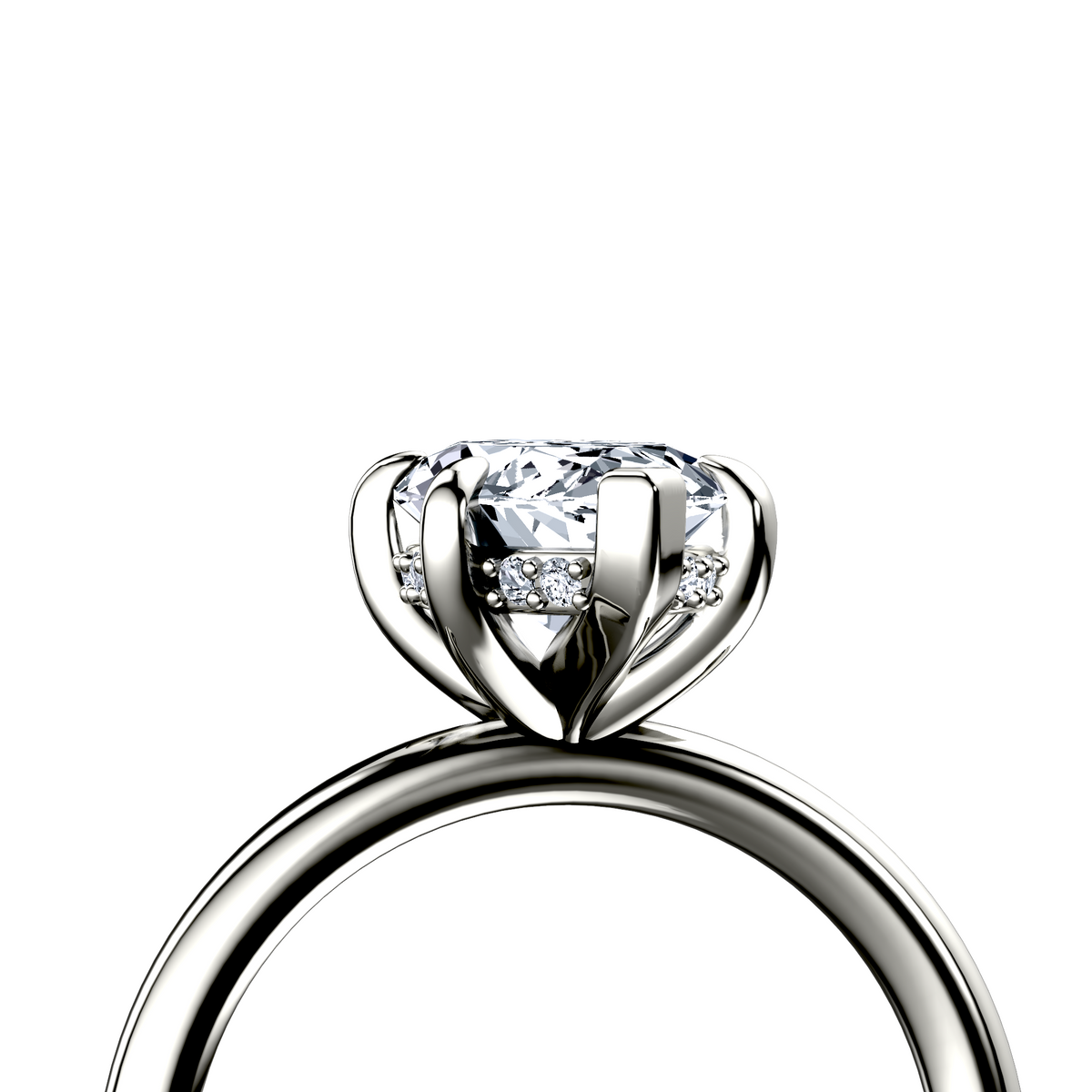 Image for The Alina