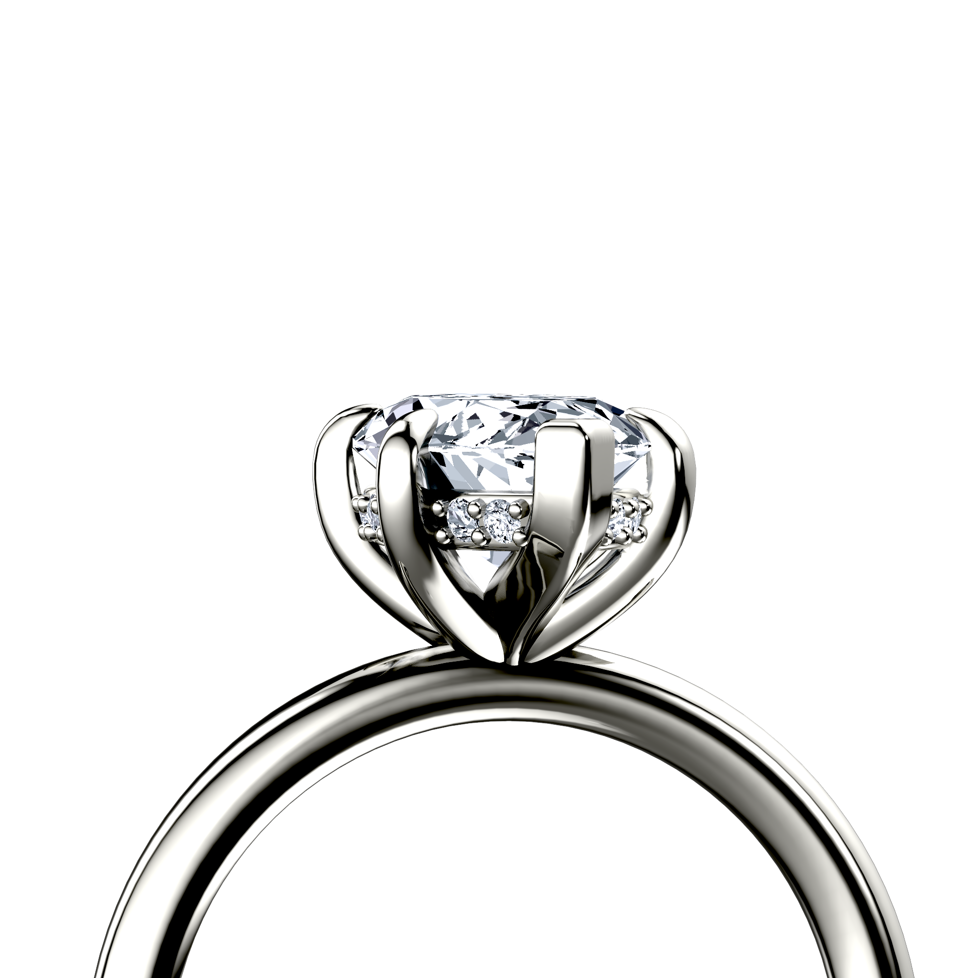 Image for The Alina