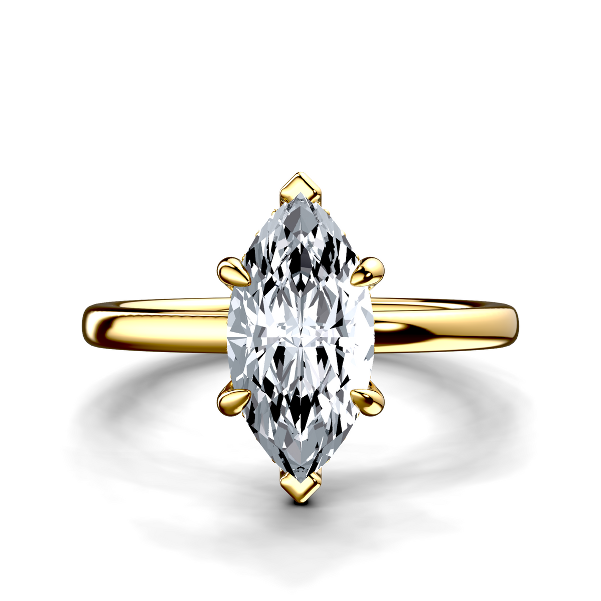 Image for The Alina