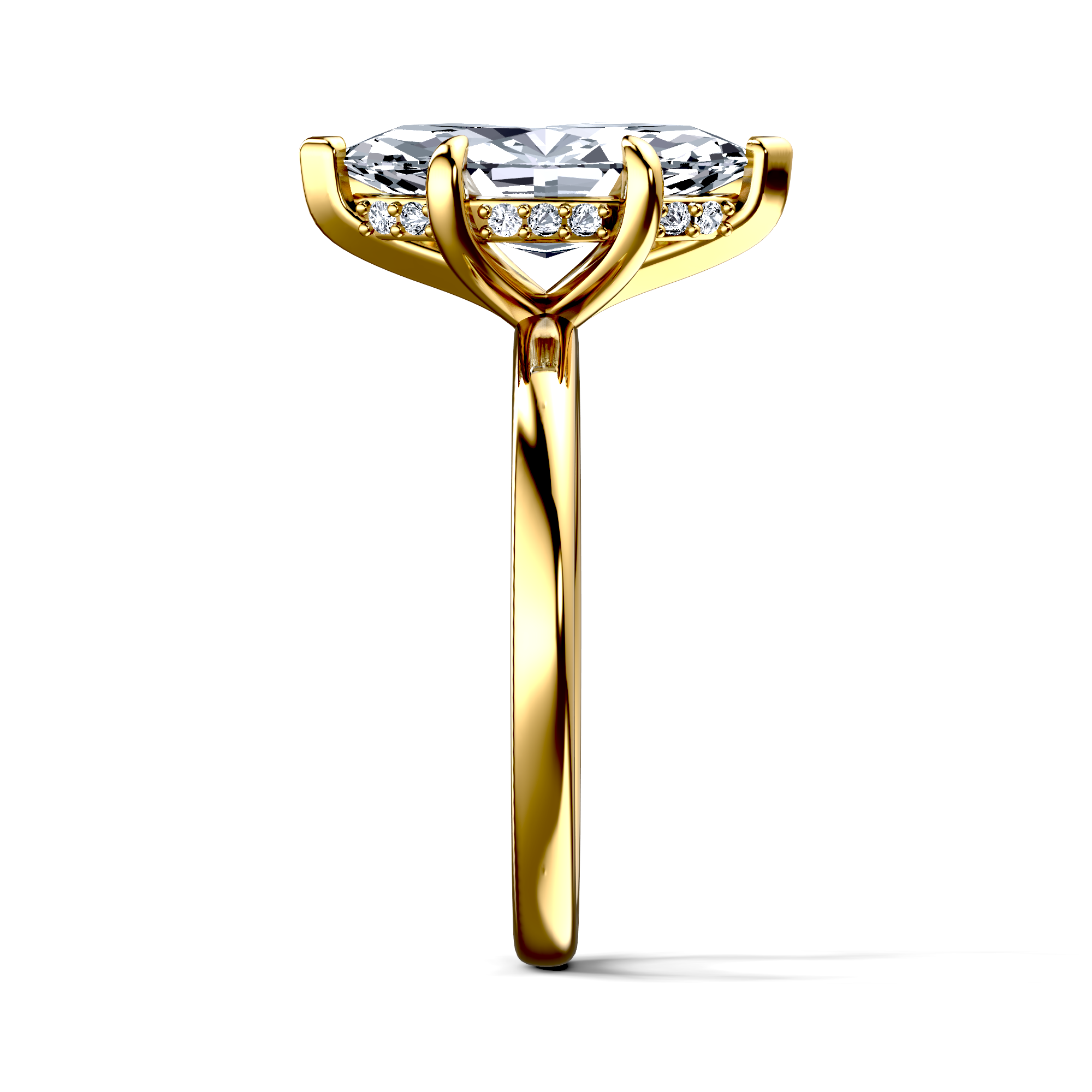 Image for The Alina