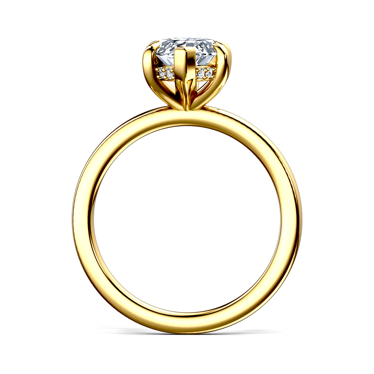 Image for The Alina