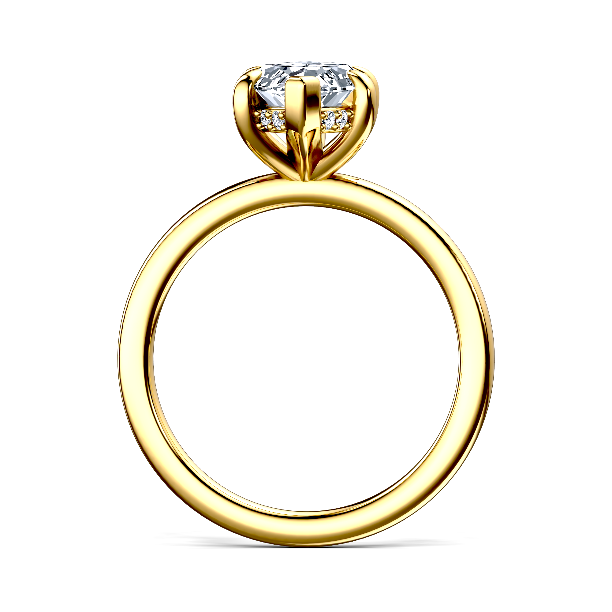 Image for The Alina