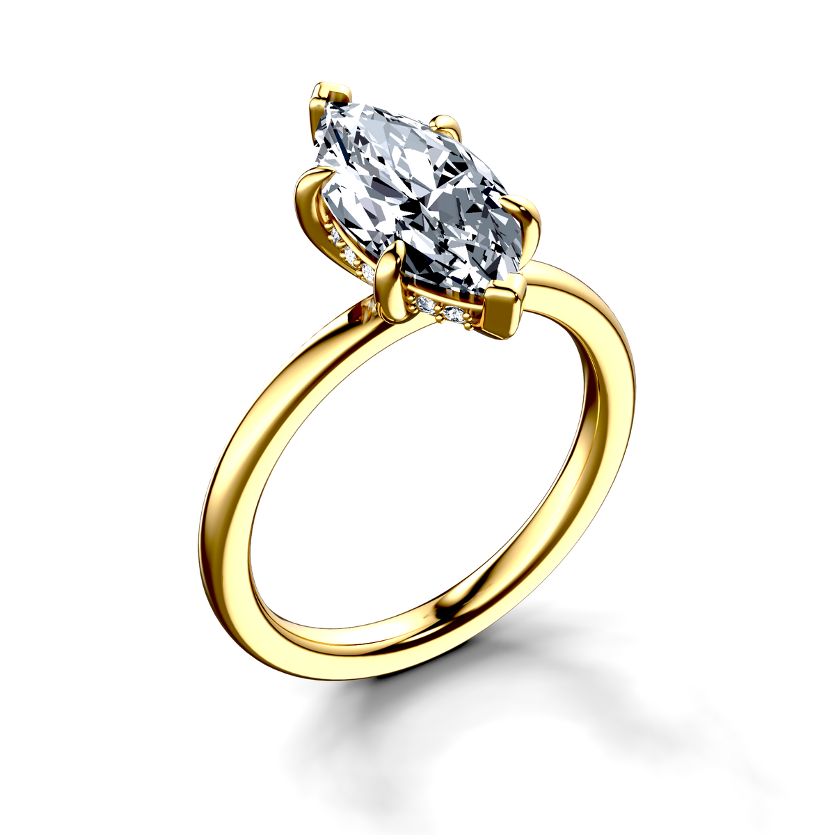 Image for The Alina