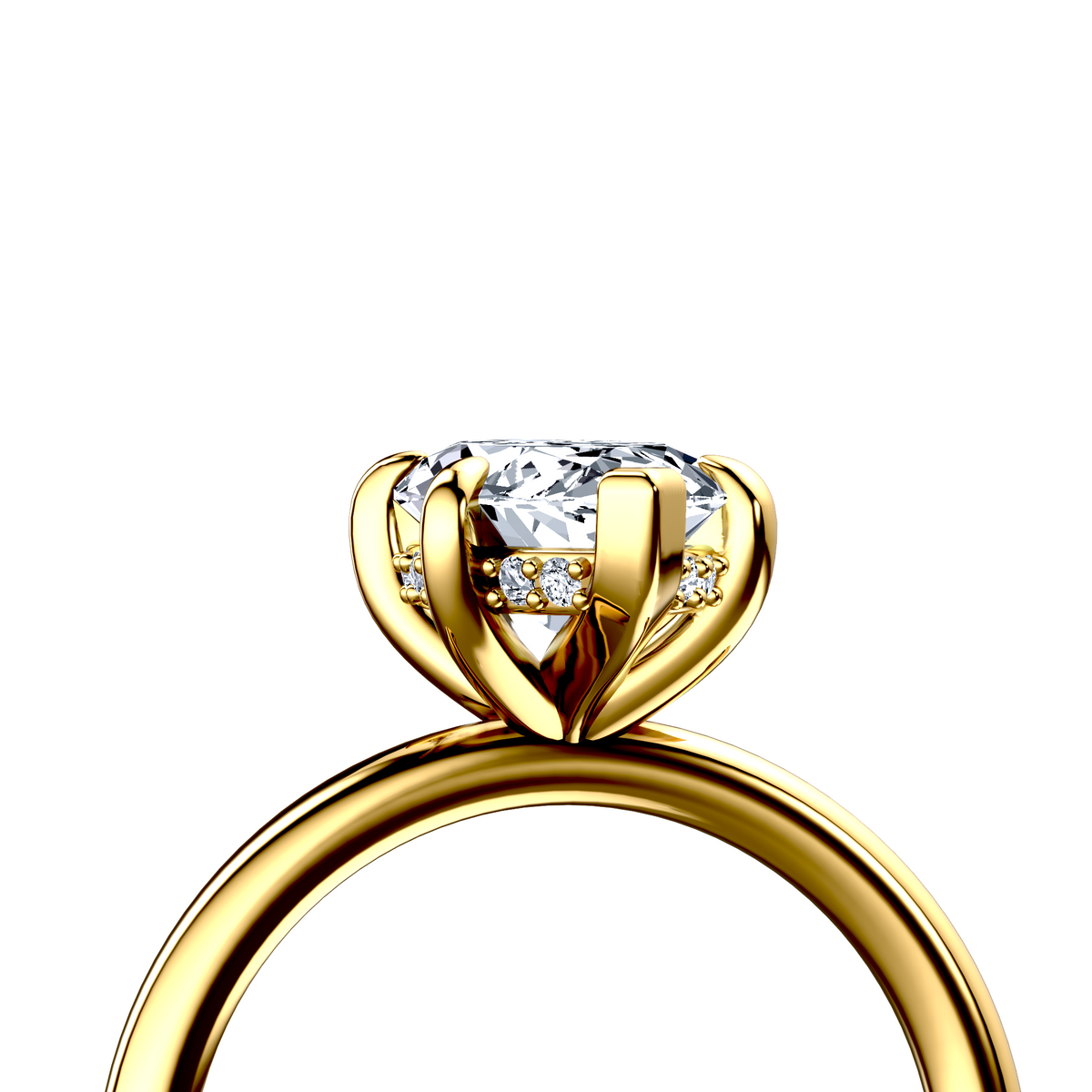 Image for The Alina