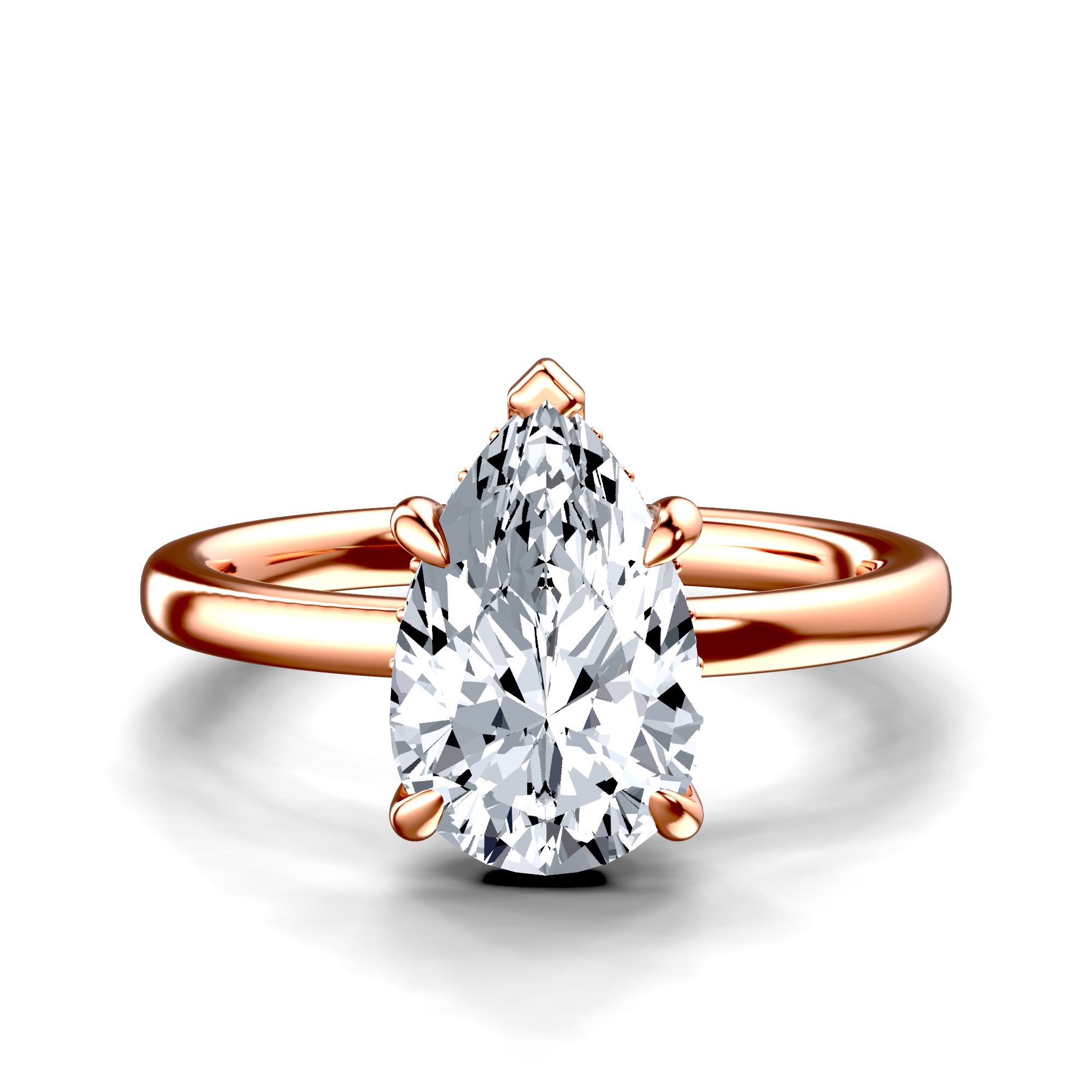 Image for The Alina