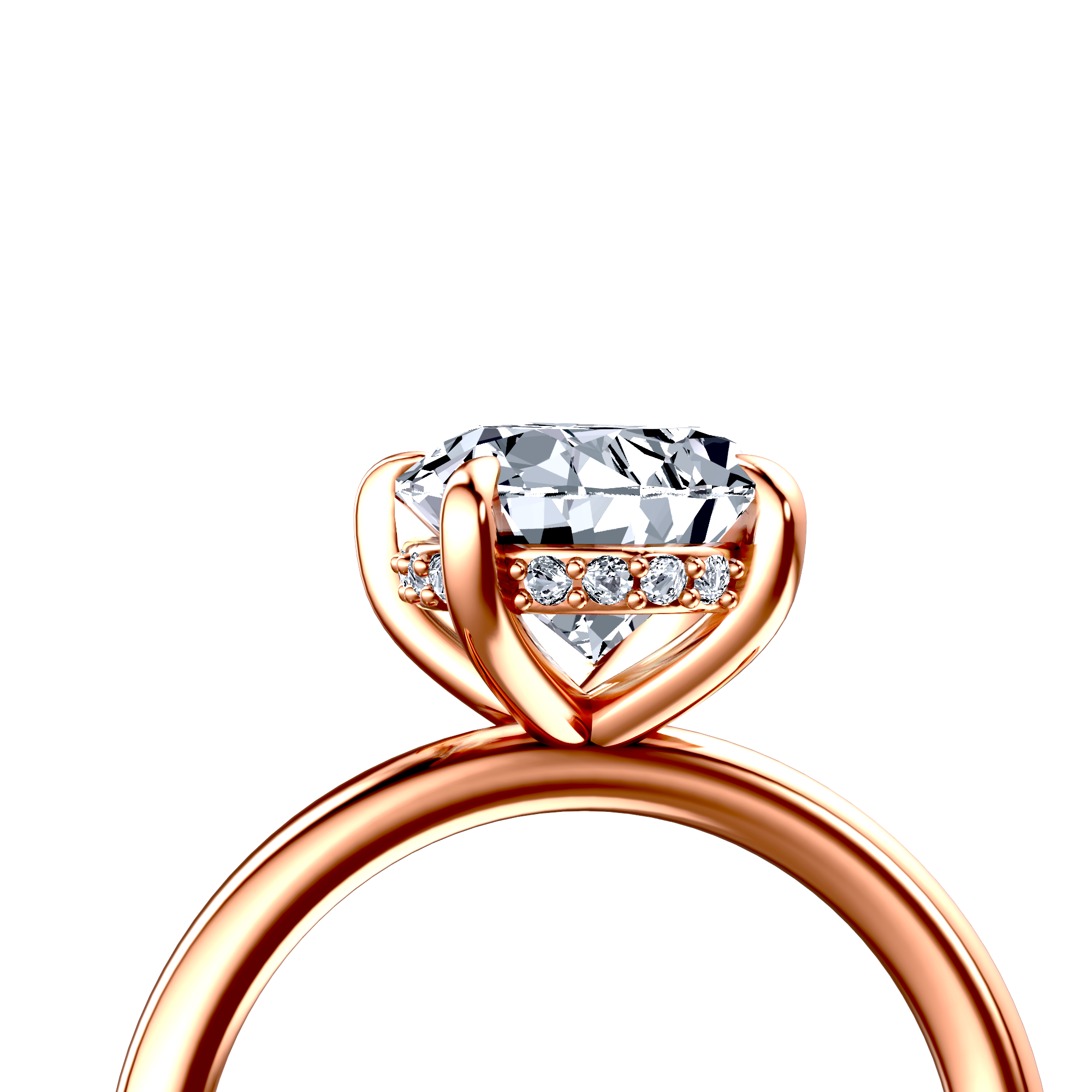 Image for The Alina