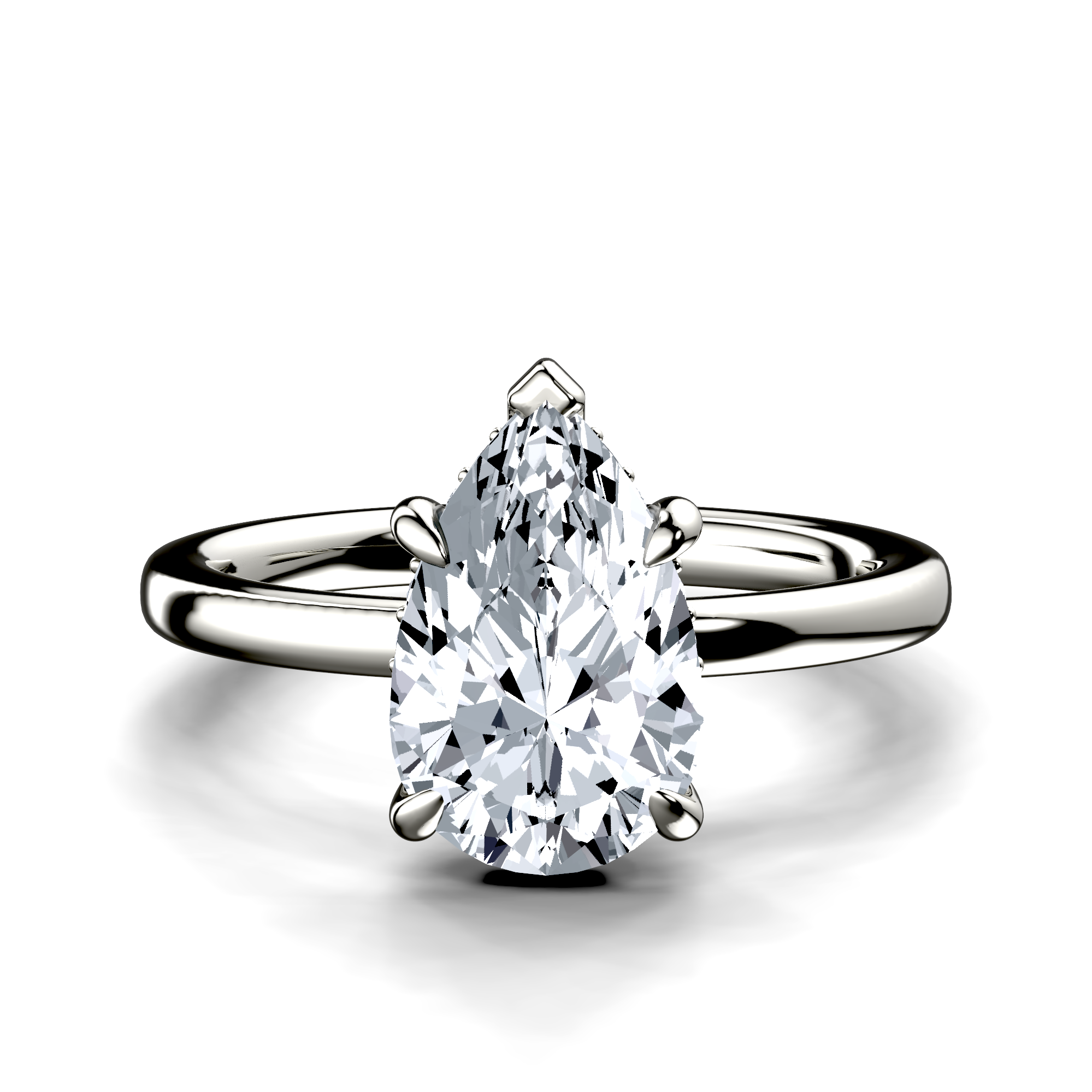 Image for The Alina