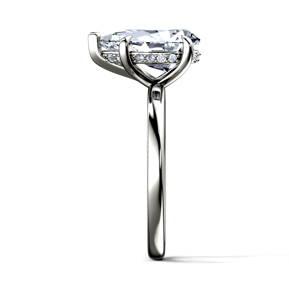 Image for The Alina