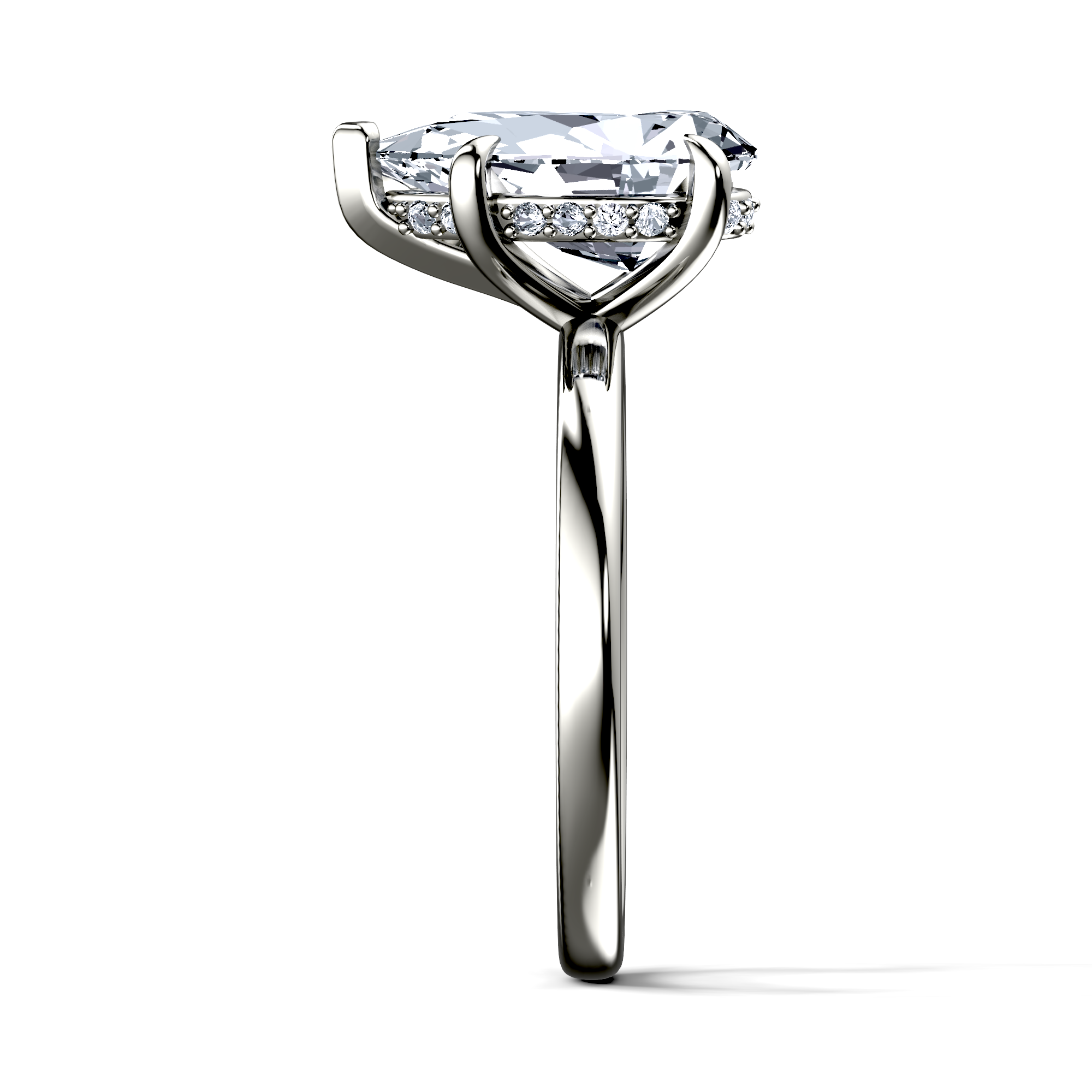 Image for The Alina
