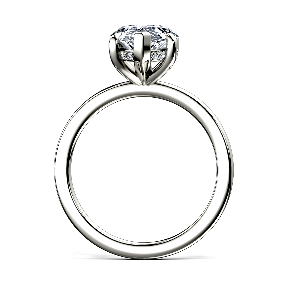 Image for The Alina