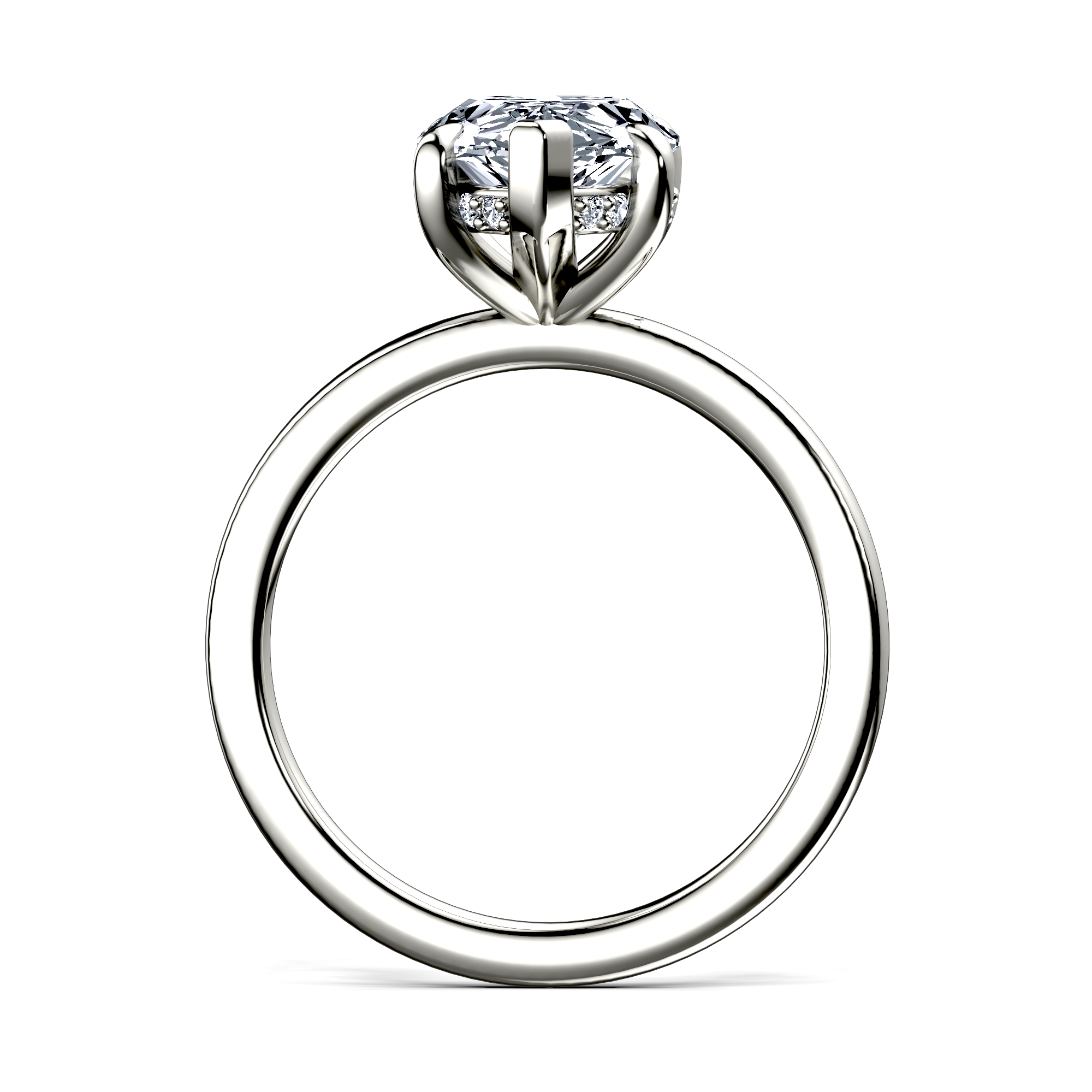 Image for The Alina