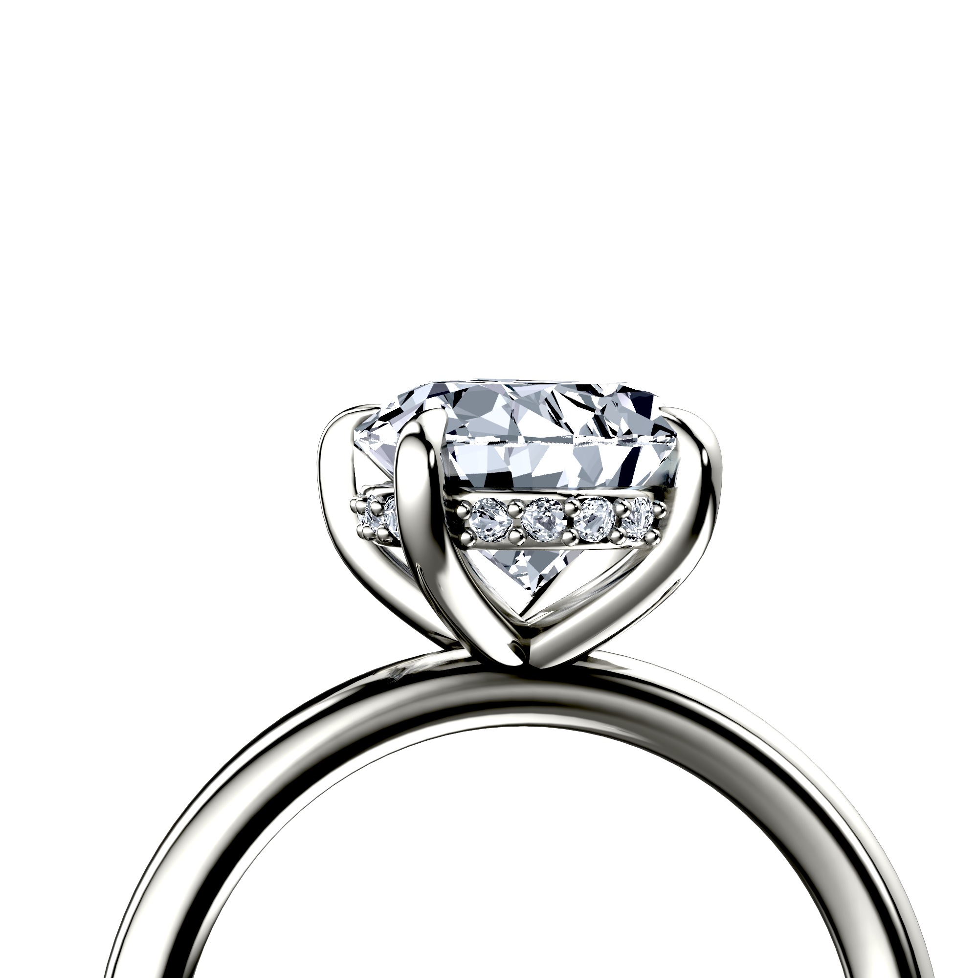 Image for The Alina