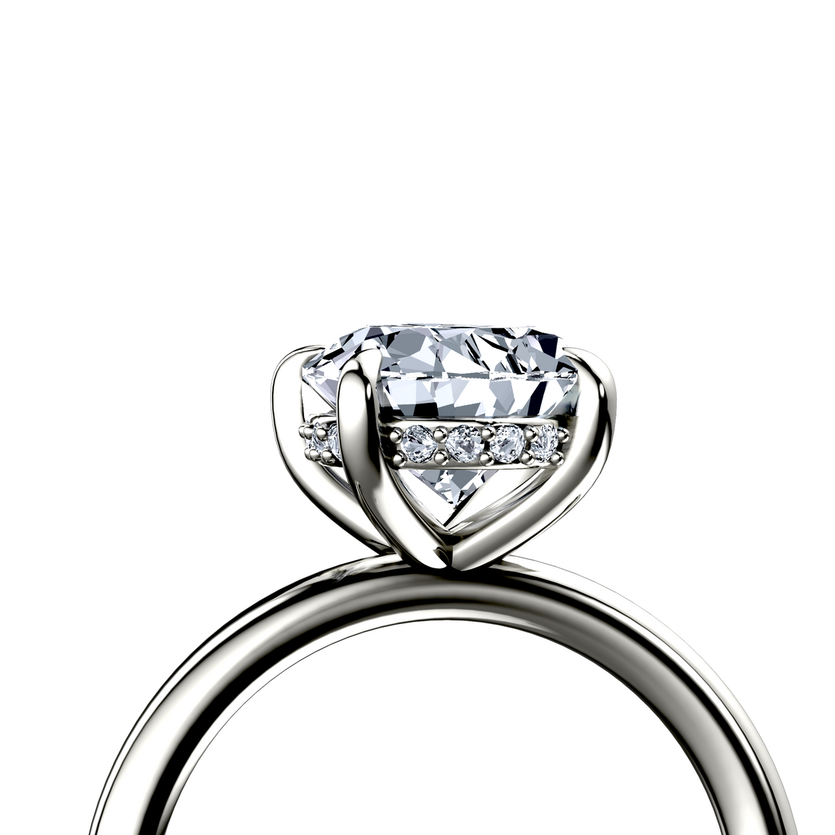 Image for The Alina