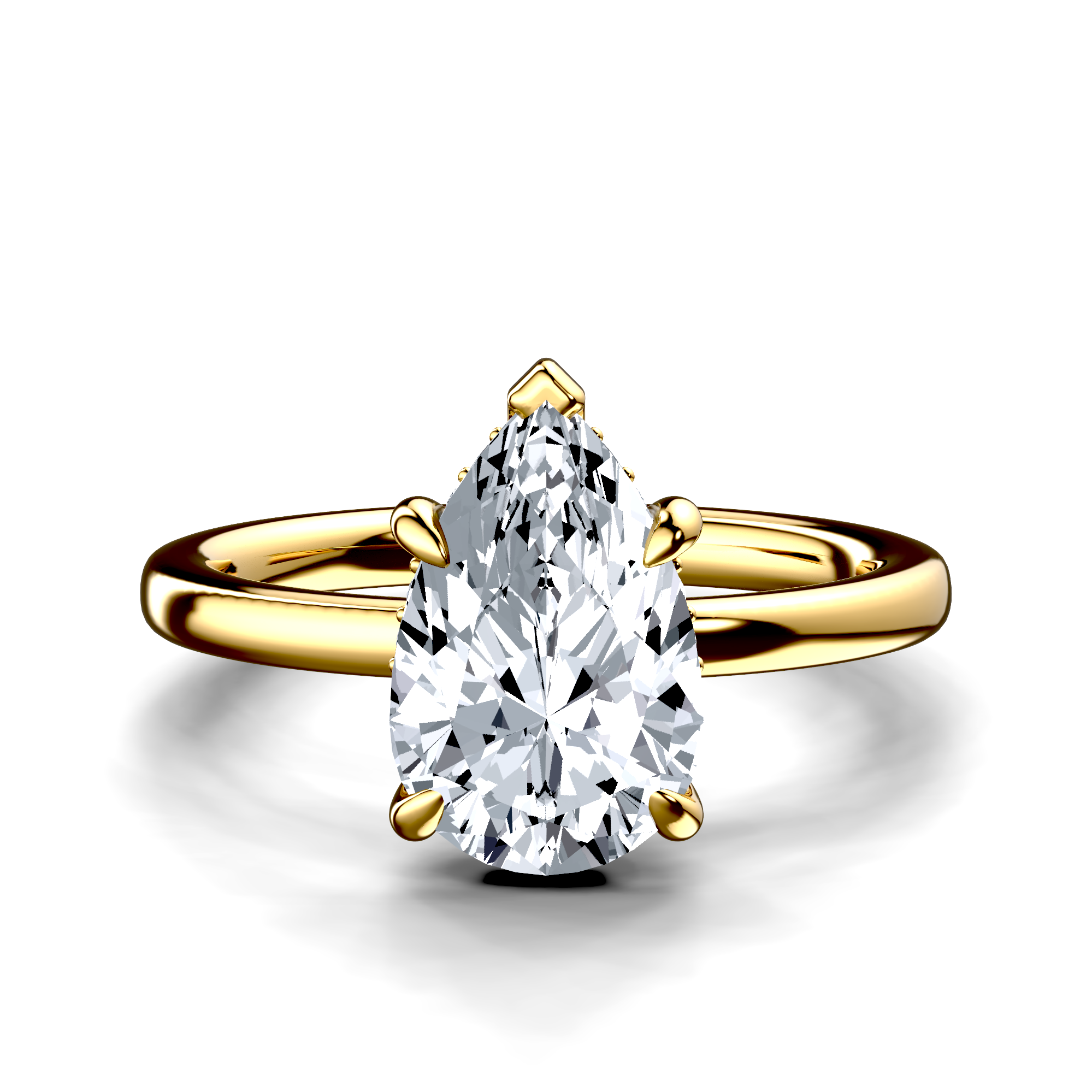 Image for The Alina