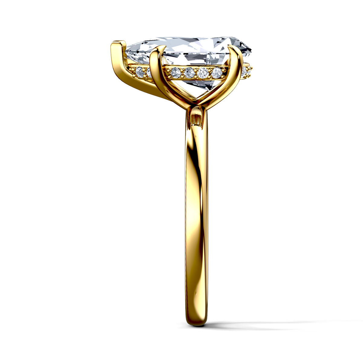 Image for The Alina