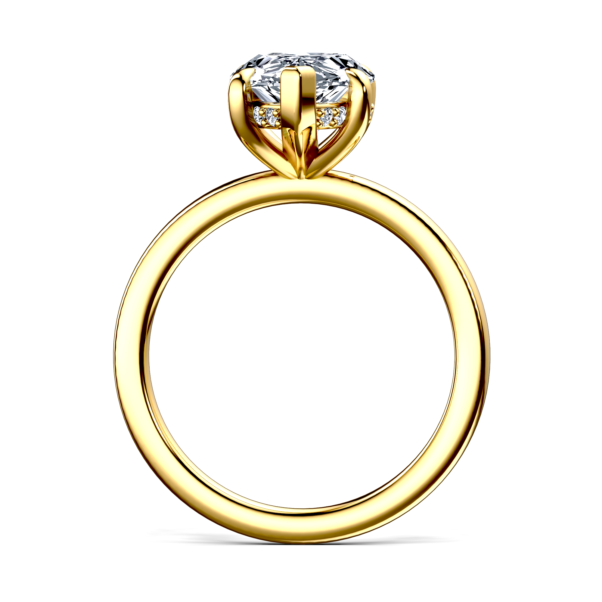 Image for The Alina