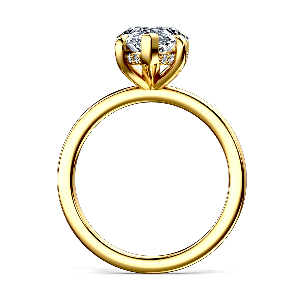 Image for The Alina
