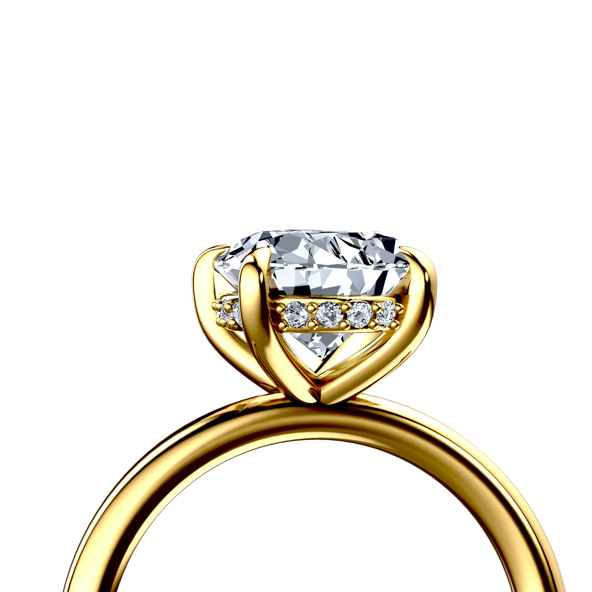 Image for The Alina