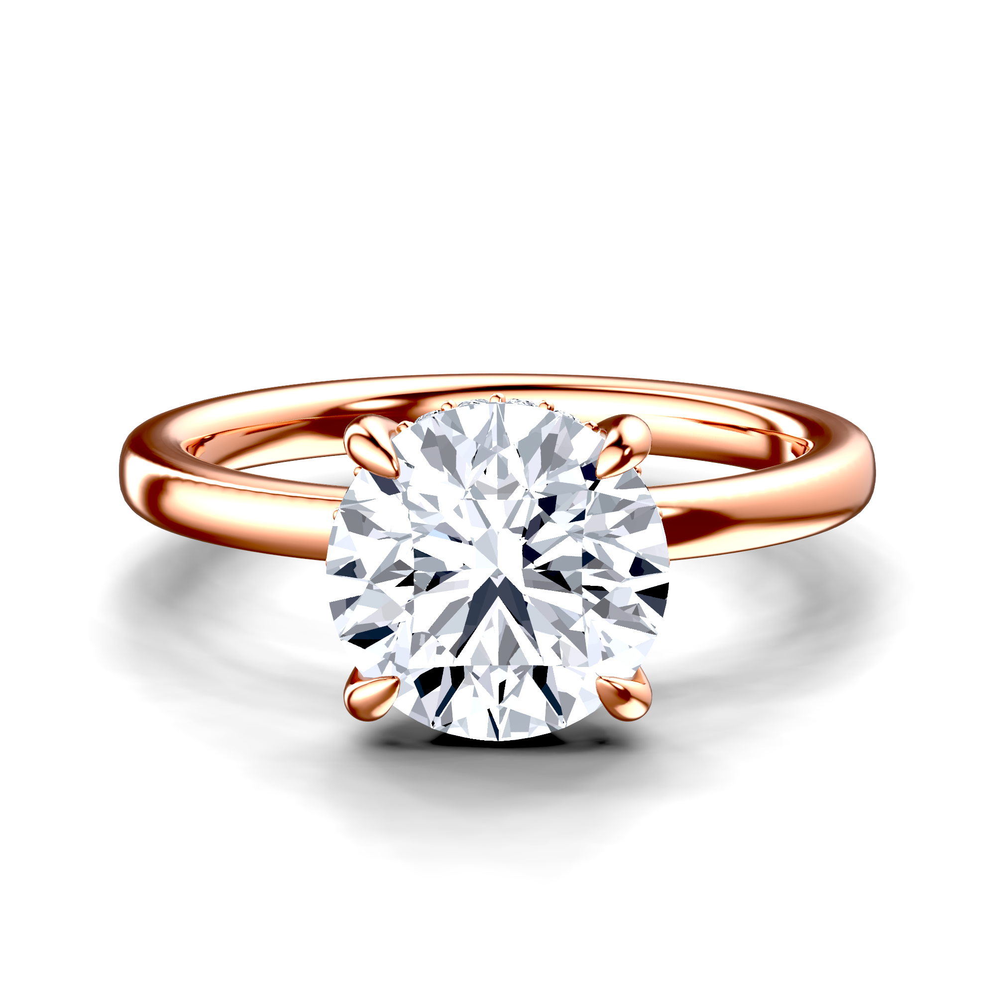 Image for The Alina