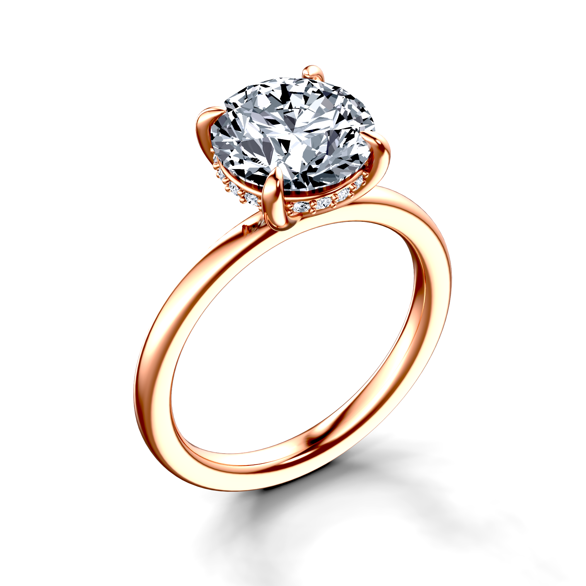 Image for The Alina