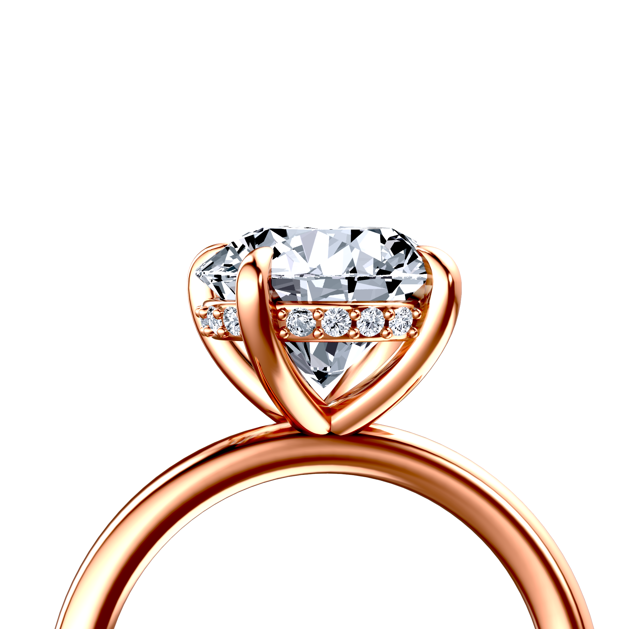 Image for The Alina