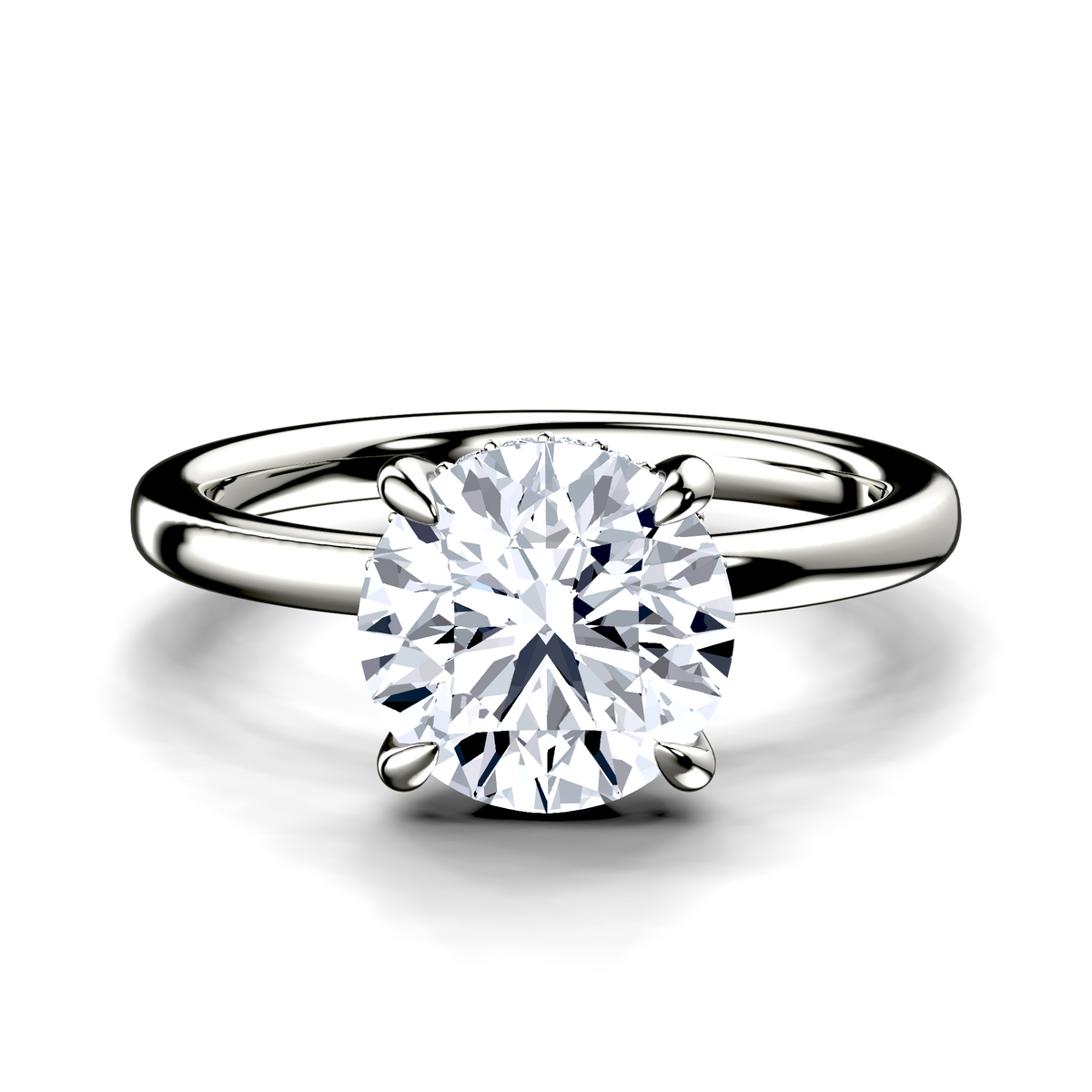Image for The Alina