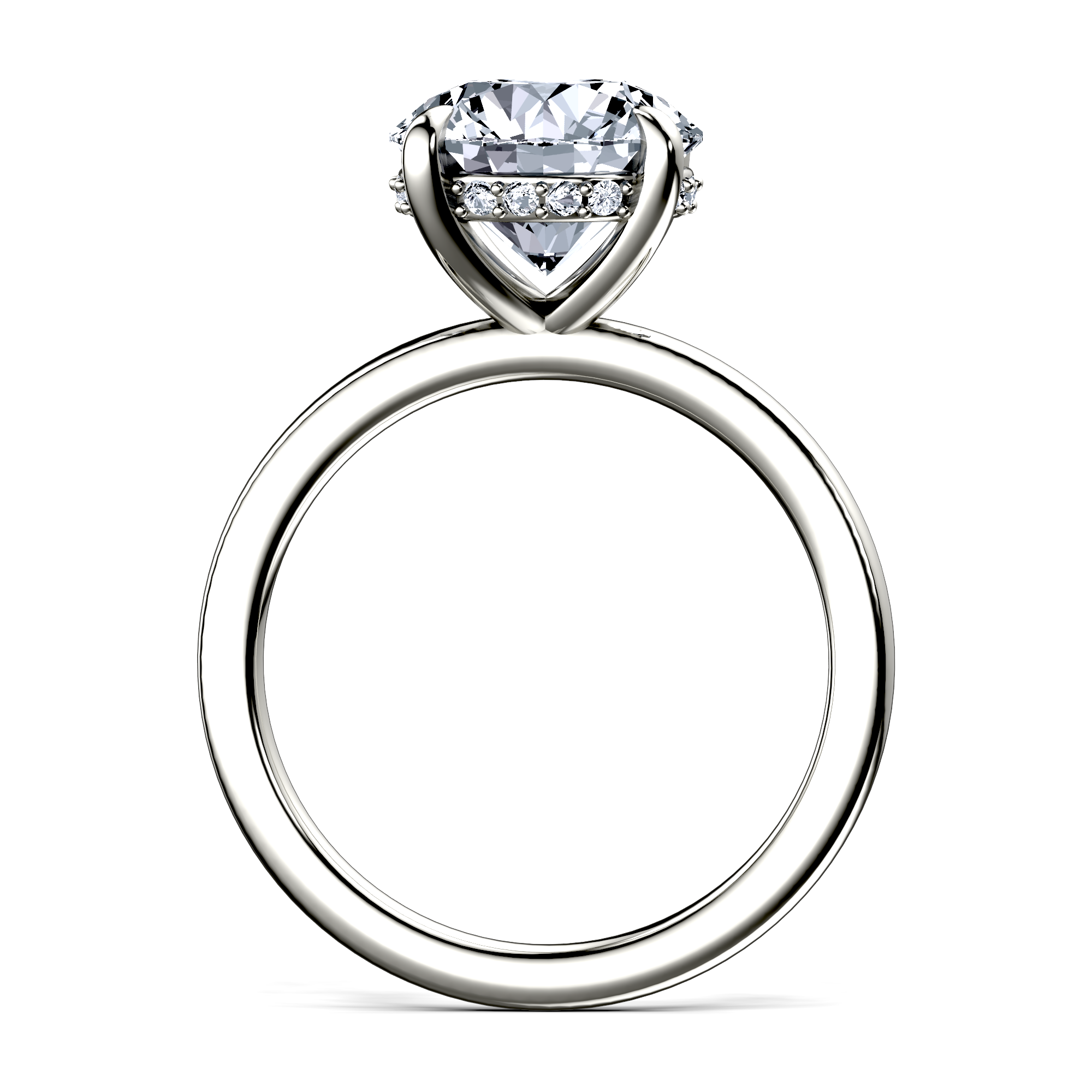Image for The Alina