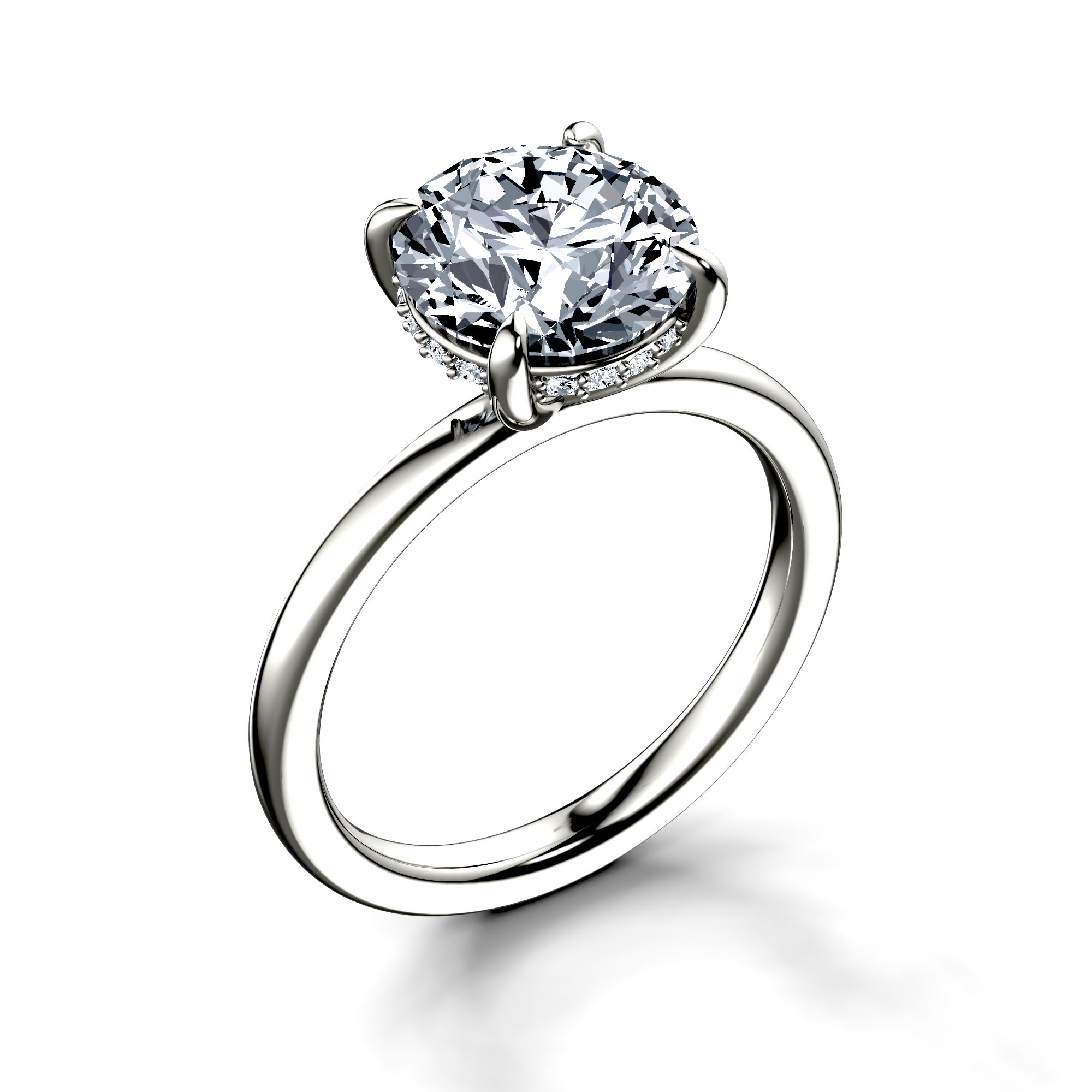 Image for The Alina